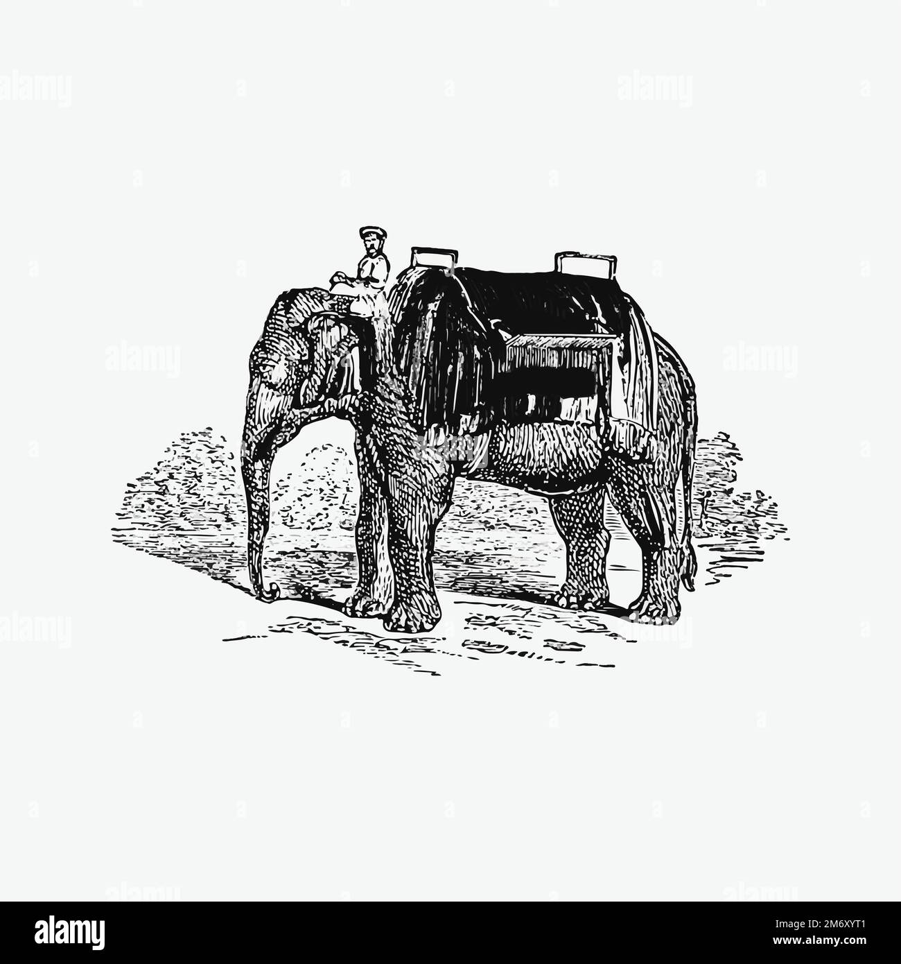 Vecteur d'illustration éléphant vintage Illustration de Vecteur