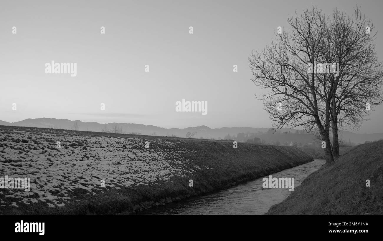 Rivière étroite avec écoulement d'eau douce en hiver vers l'horizon de crépuscule à côté d'un arbre avec de nombreuses branches en noir et blanc, tiré en Autriche Banque D'Images