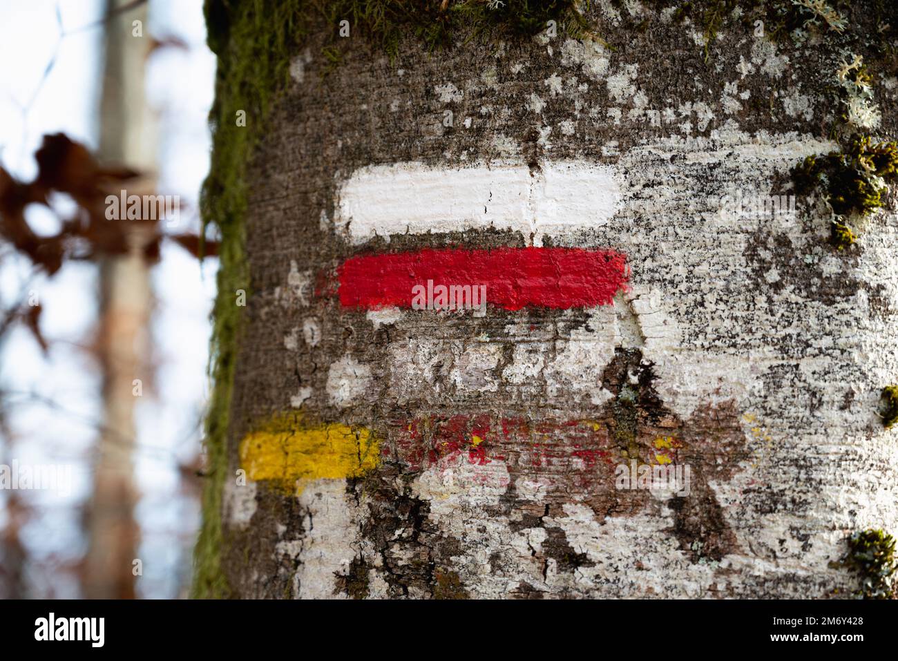 Marquage d'un itinéraire de randonnée longue distance (blanc et rouge). Itinéraires. Marquage sur bois. Indication de changement de direction. Sentier de randonnée. Marquage Banque D'Images