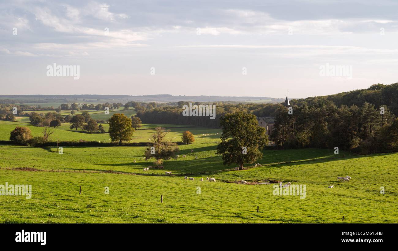 Magnifique photographie de paysage en France. Photo de paysage en Bourgogne. Photo de paysage dans le Nièvre. Prairie avec église avec soleil. 58 en France. Banque D'Images