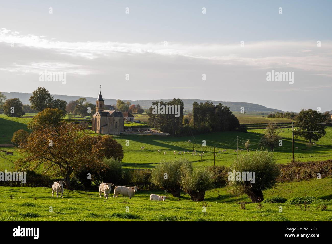 Magnifique photographie de paysage en France. Photo de paysage en Bourgogne. Photo de paysage dans le Nièvre. Prairie avec église avec soleil. 58 en France. Banque D'Images