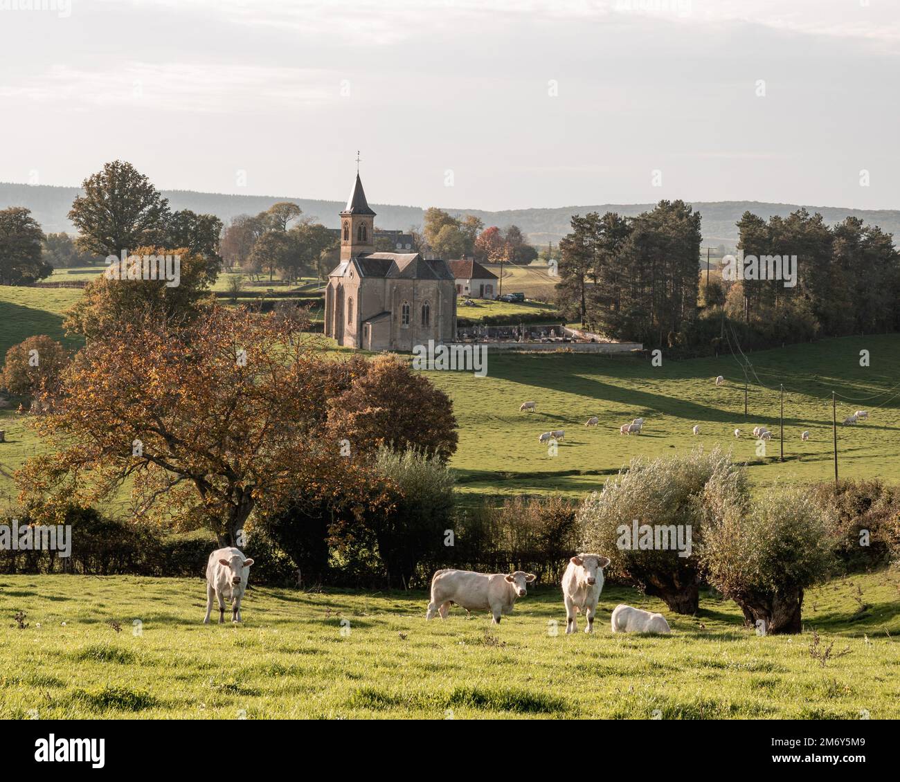 Magnifique photographie de paysage en France. Photo de paysage en Bourgogne. Photo de paysage dans le Nièvre. Prairie avec église avec soleil. 58 en France. Banque D'Images