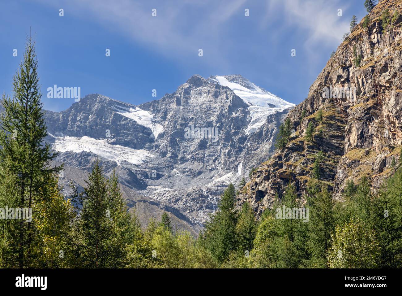 Fond de gorge alpine avec forêt de pins à feuilles persistantes dans le parc national de Gran Paradiso, concentration sur les rochers et les pics de granit, couvert de neige en arrière-plan Banque D'Images