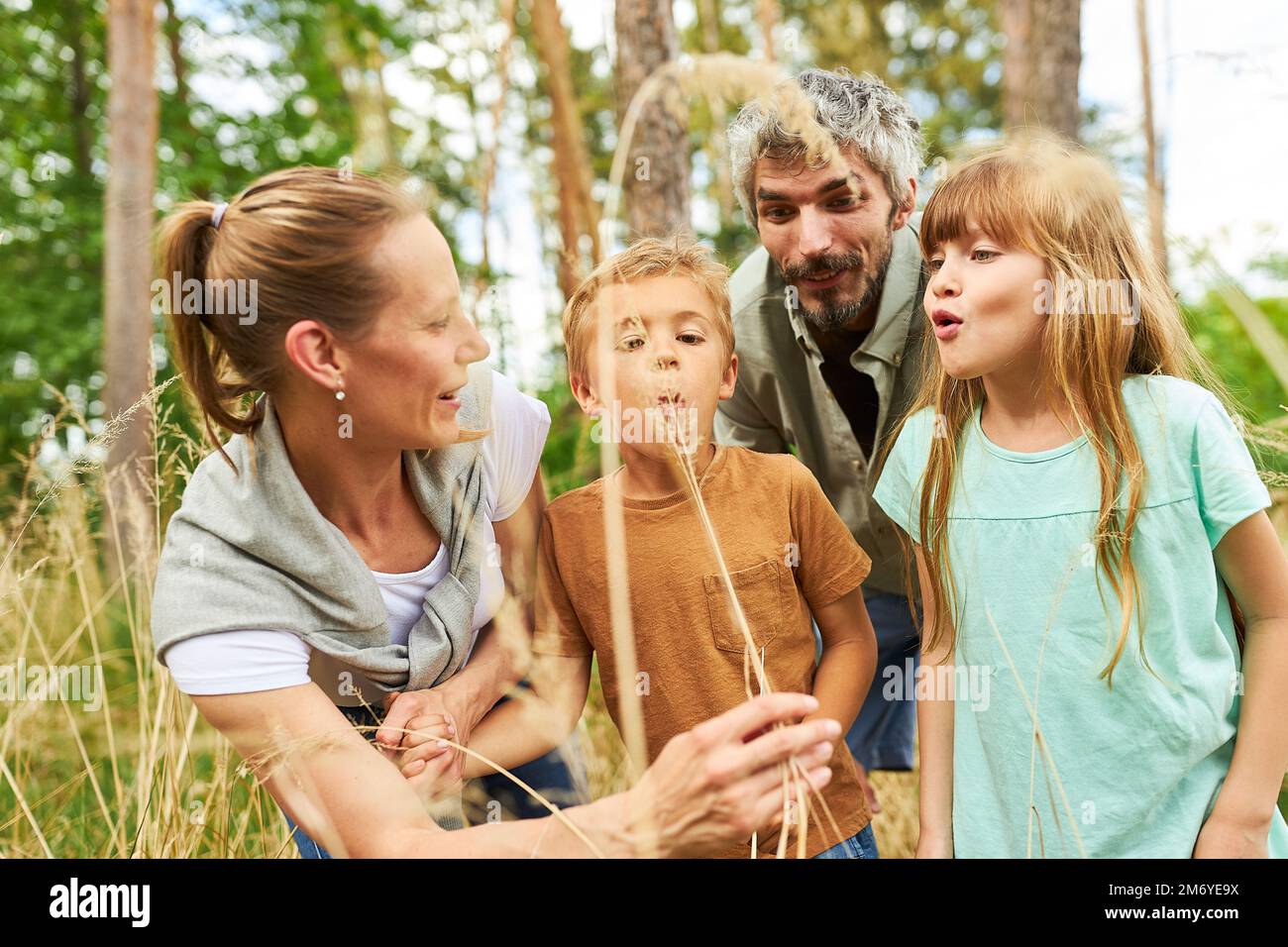 Les enfants soufflant à la plante séchée étant détenus par la mère tout en explorant la forêt pendant les vacances d'été Banque D'Images