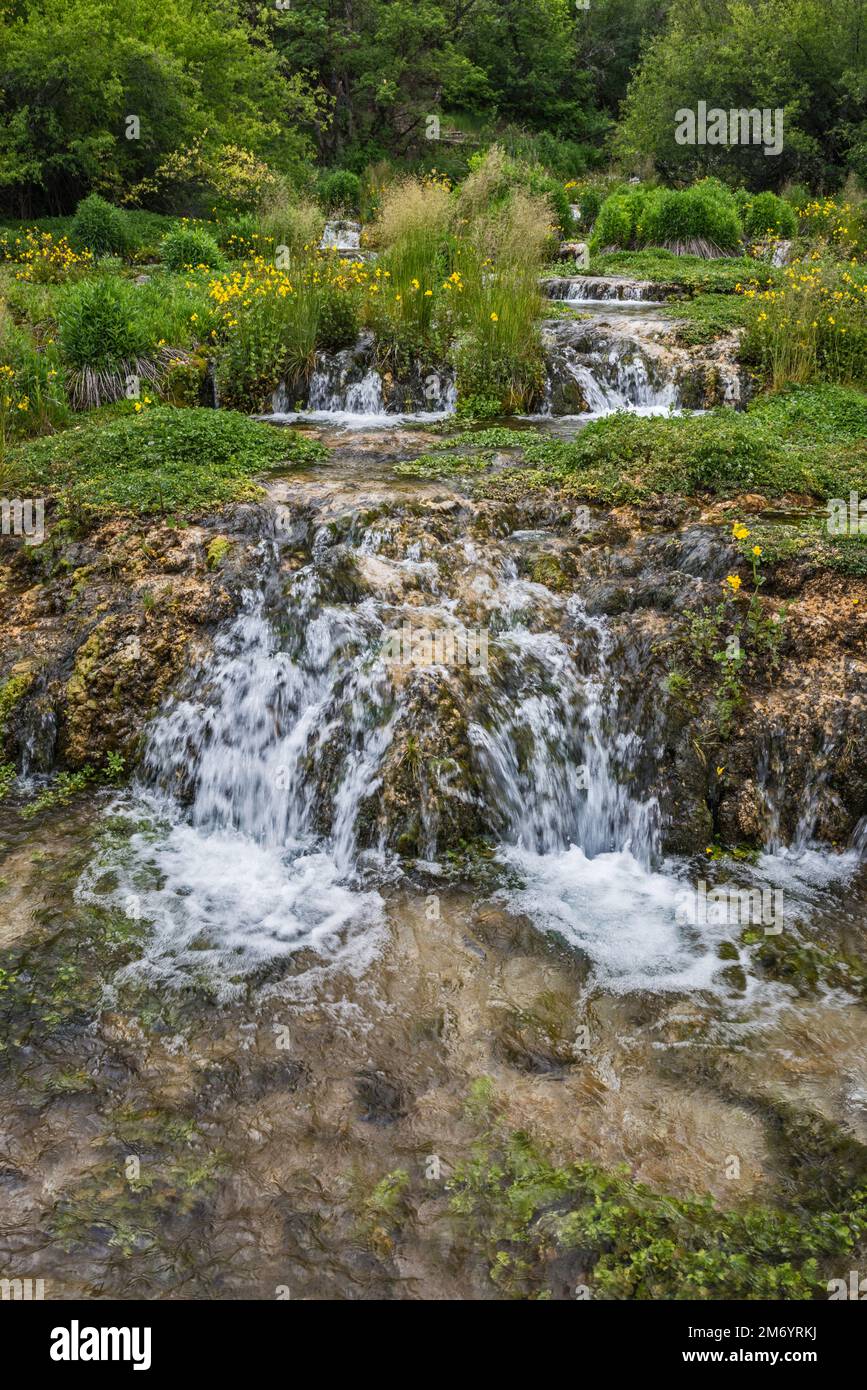 Cascade Springs, Wasatch Mountains, près de Midway, Utah, États-Unis Banque D'Images