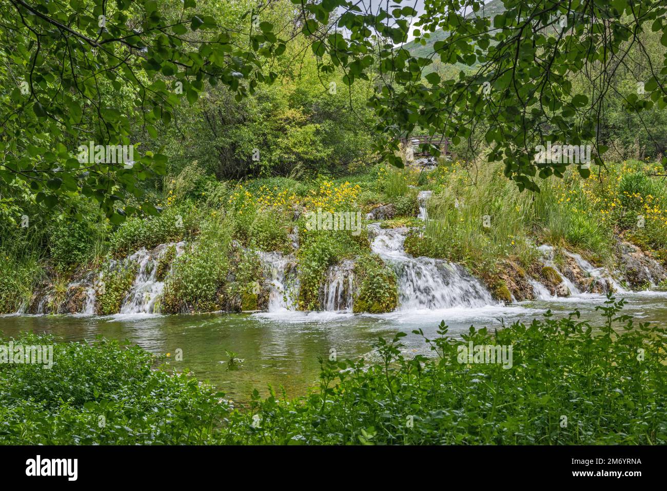 Cascade Springs, Wasatch Mountains, près de Midway, Utah, États-Unis Banque D'Images