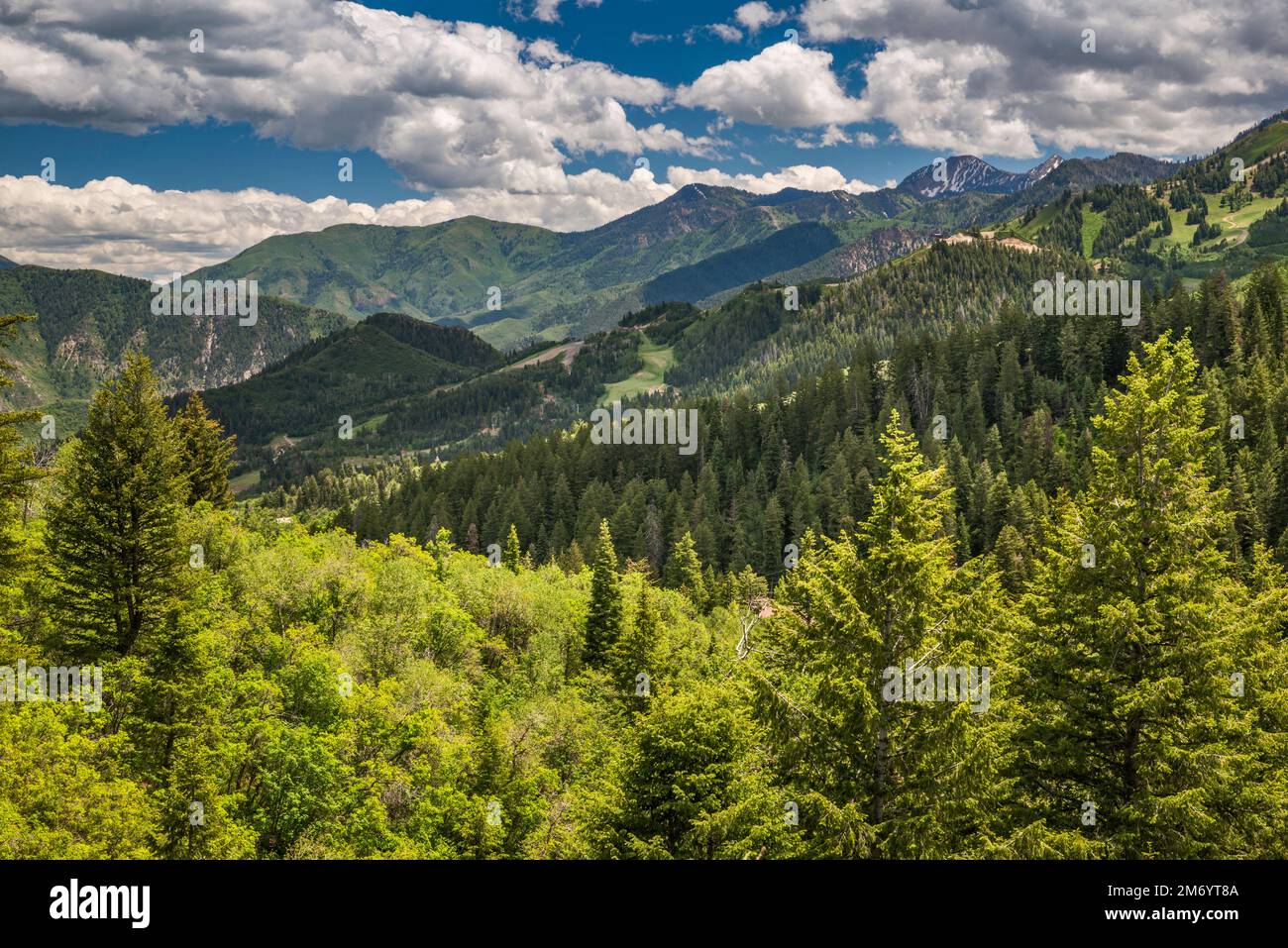 North Fork Ridge, Wasatch Range, vue depuis Alpine Scenic Highway (Utah 92), Uinta Wasatch cache National Forest, Utah, États-Unis Banque D'Images