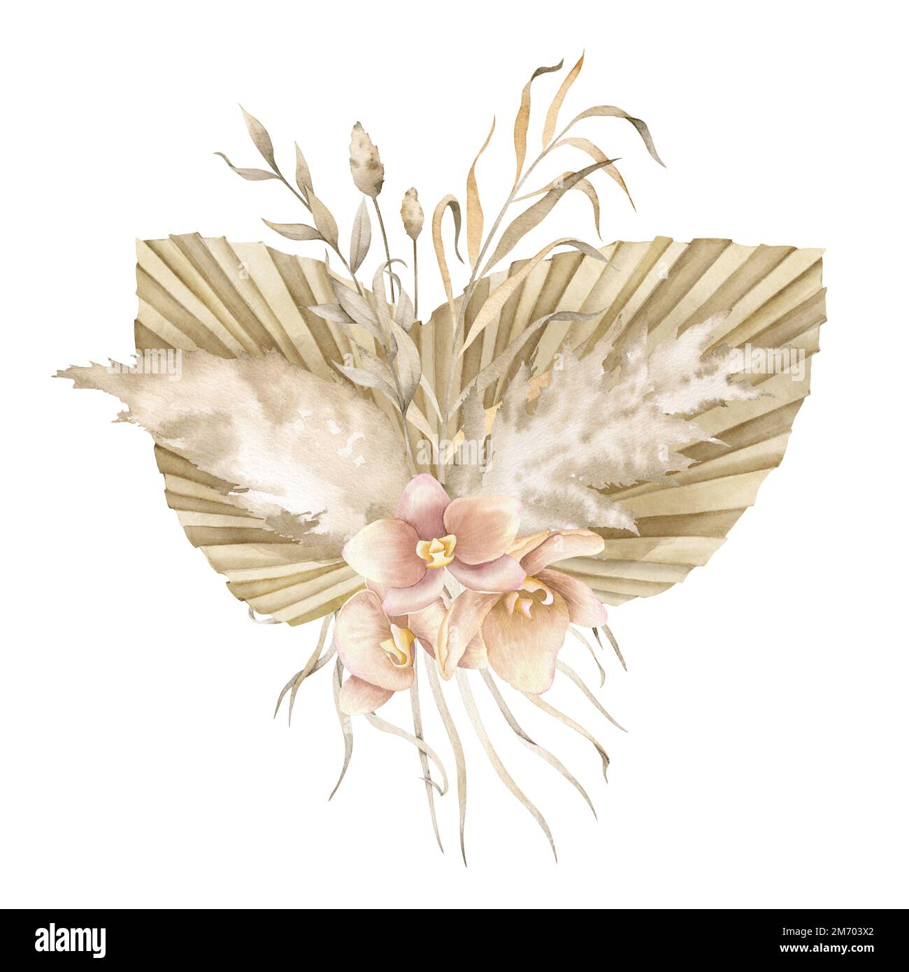 Illustration d'aquarelle florale avec feuilles de palmier séchées, herbe de pampas et fleurs d'orchidées exotiques. Composition dessinée à la main en style boho pour les cartes de vœux ou les invitations de mariage sur fond isolé. Banque D'Images