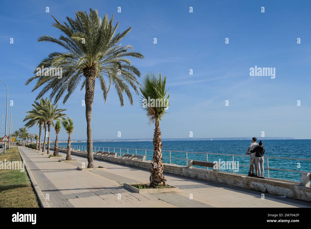 Strandpromenade, Av De Gabriel Roca, Palma, Majorque, Espagnol Banque D'Images