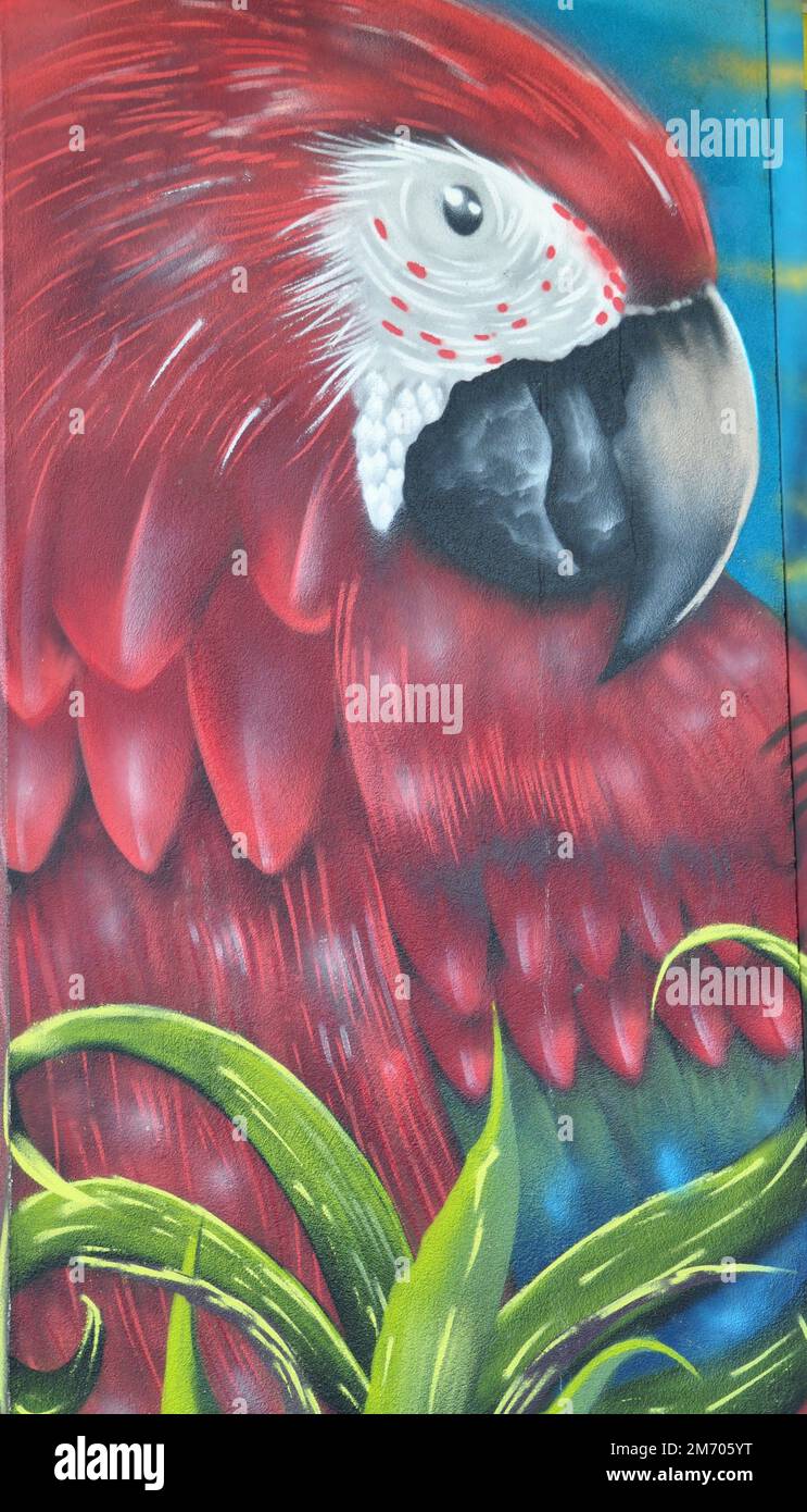 Perroquet mural dans une rue à Samara, Costa Rica Banque D'Images