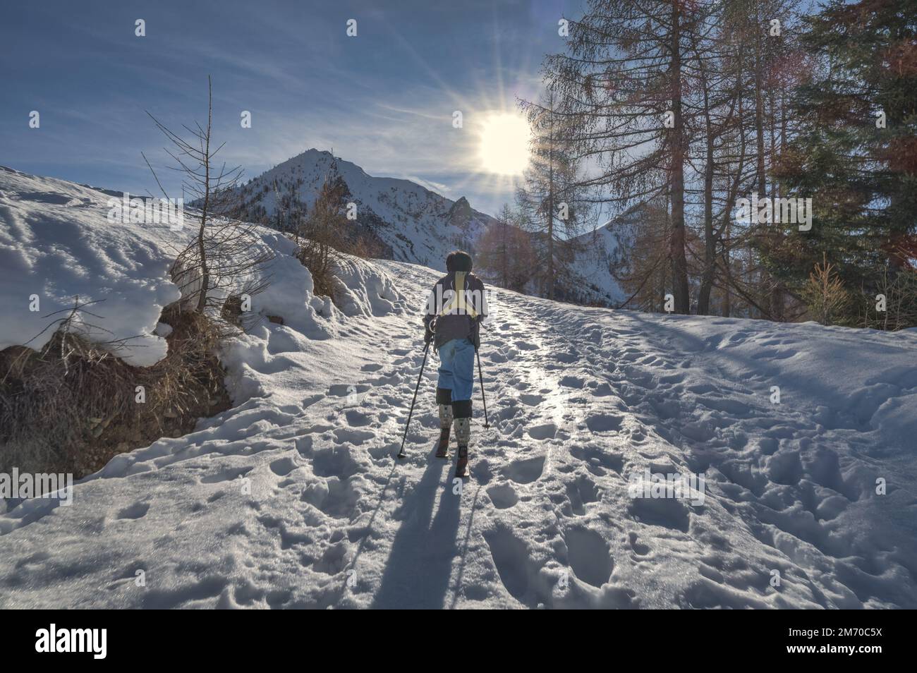 Un enfant en montée avec une peau de phoque sous ses skis sur les alpes italiennes Banque D'Images