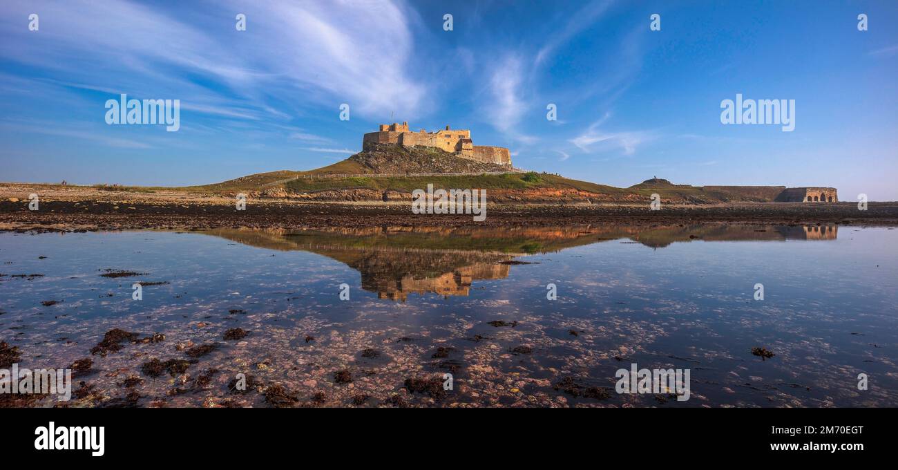 Vue de jour en été sur le château de Lindisfarne, l'île Sainte, Northumberland, Angleterre, Royaume-Uni Banque D'Images