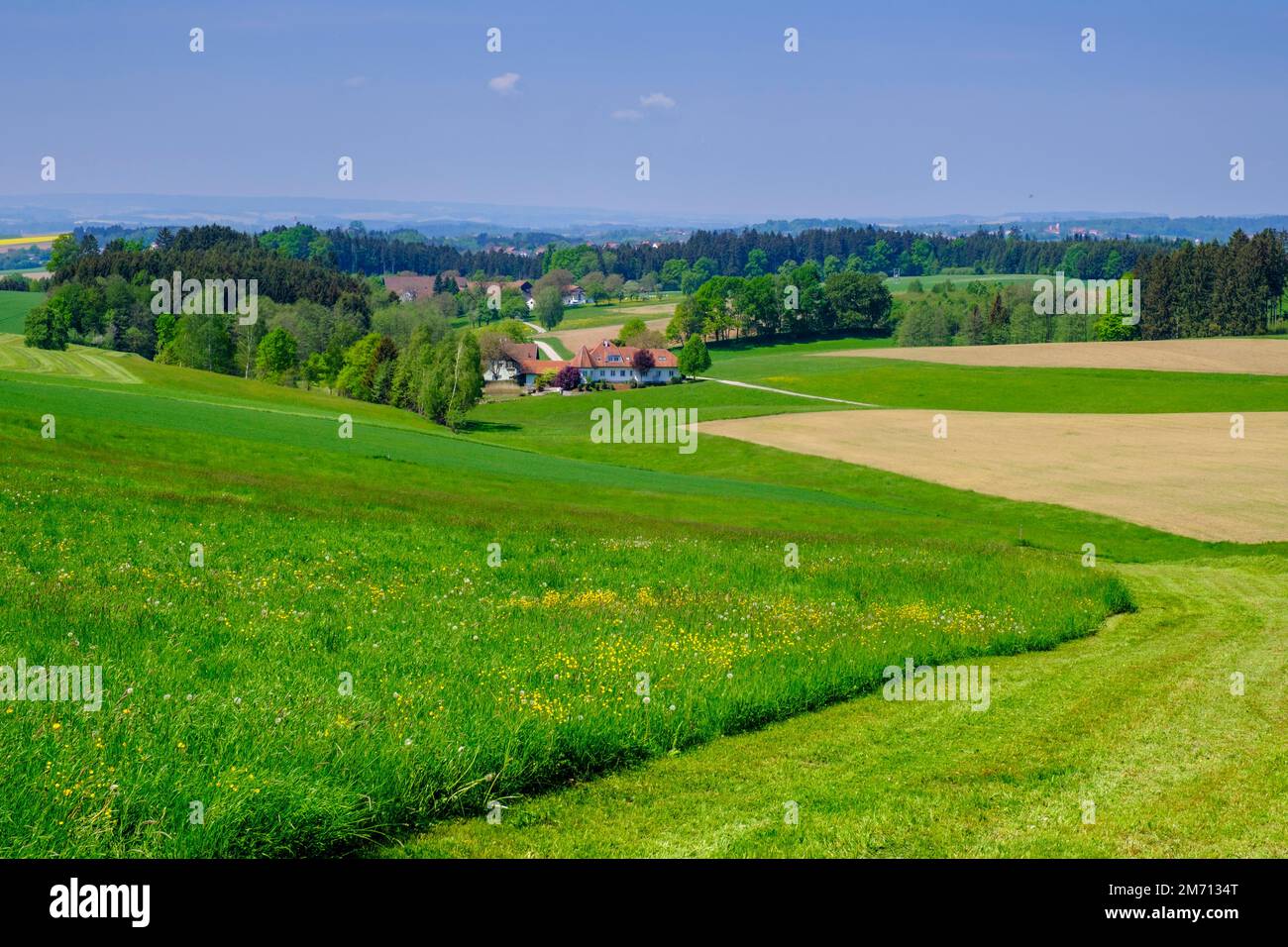 Paysage près de Dierthalling, Innviertel, haute-Autriche, Autriche Banque D'Images