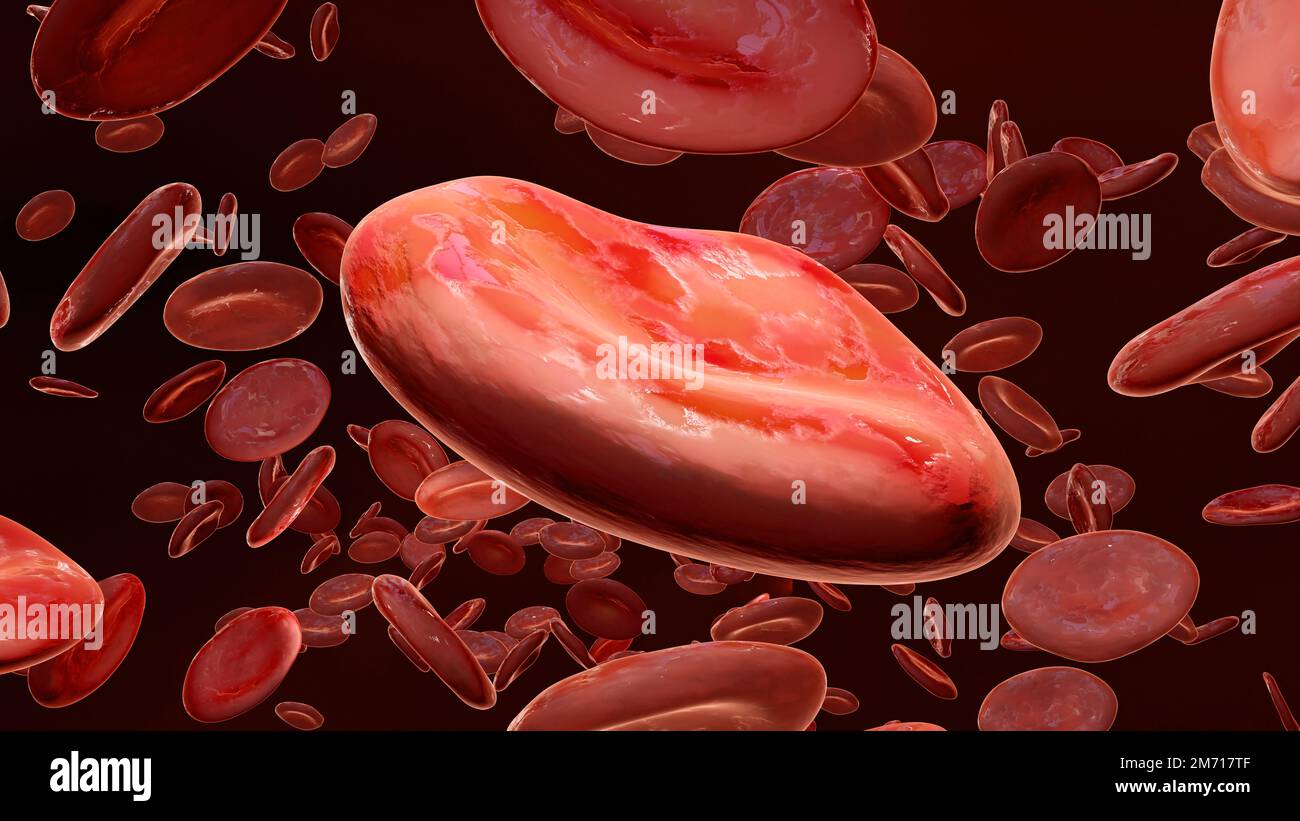 Globules rouges coulant dans la veine, érythrocytes, flux à l'intérieur d'une artère, anatomie médicale, rendu 3D Banque D'Images