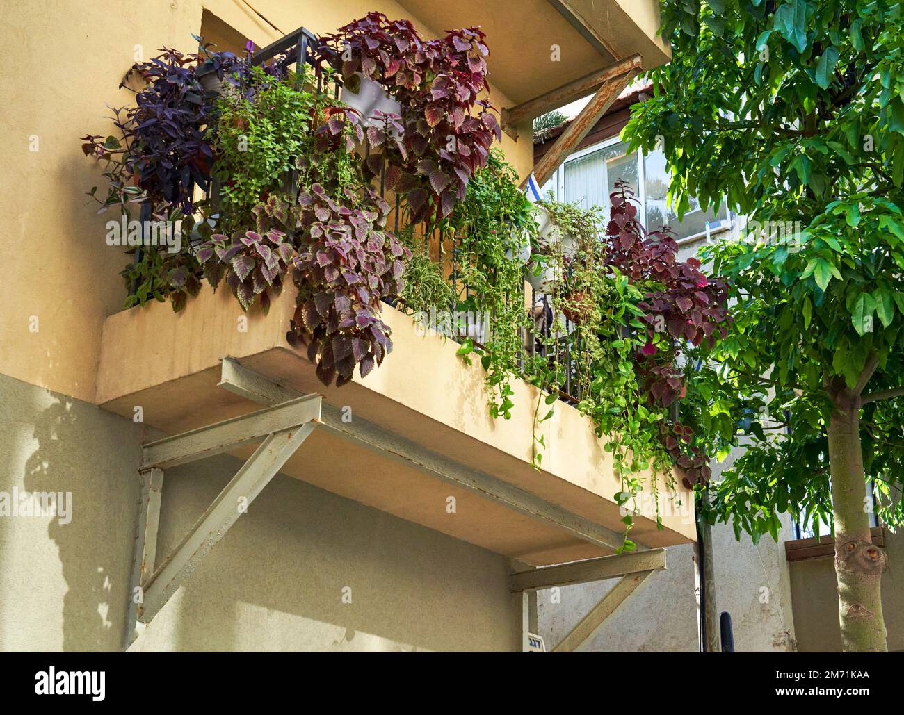 Tel Aviv, Israël - décembre 2022 : balcon pittoresque dans le quartier de Neve Tzedek dans la ville Banque D'Images