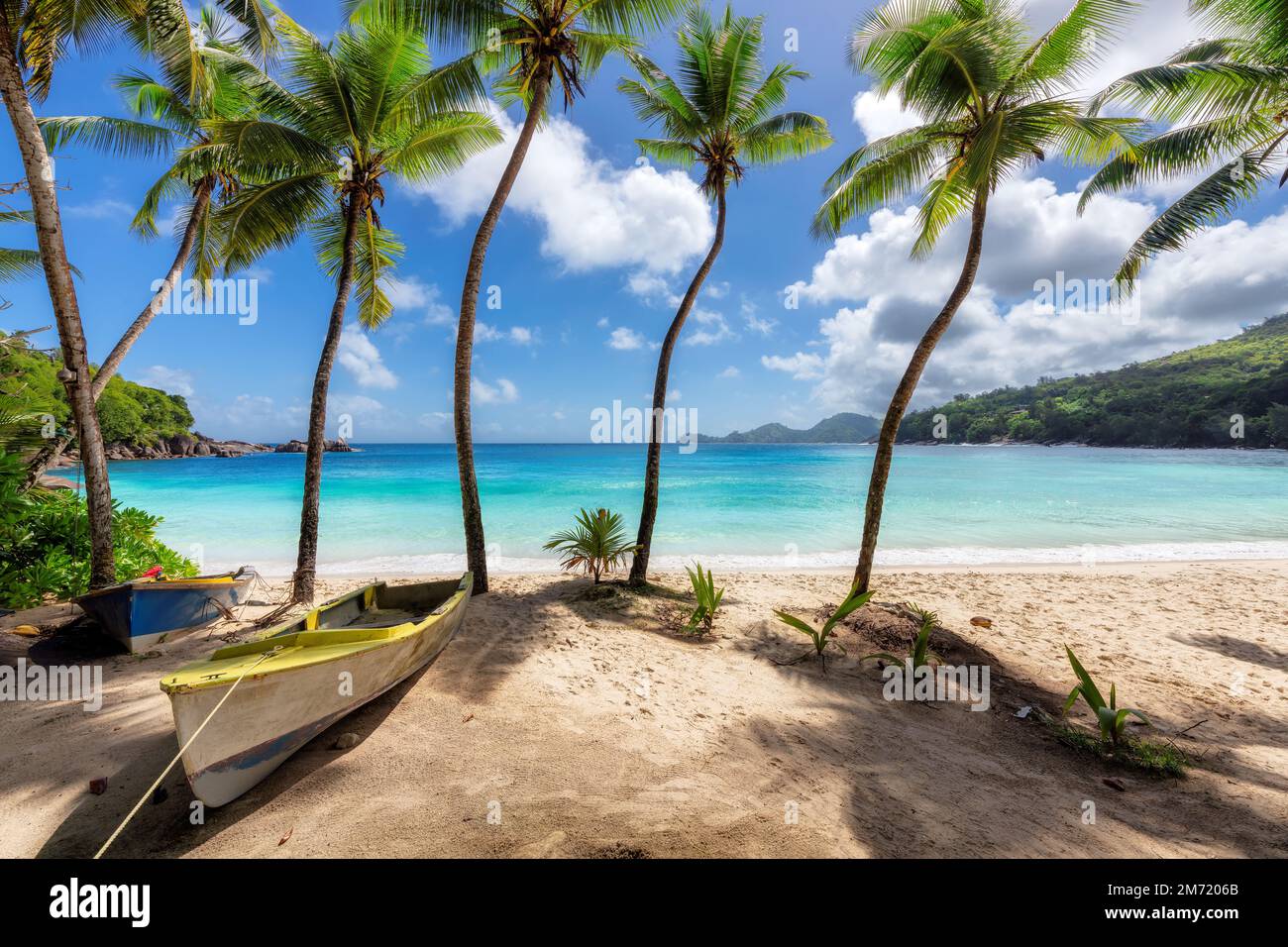 Des palmiers Coco et des bateaux de pêche sur une plage de sable de l'île Paradise. Banque D'Images