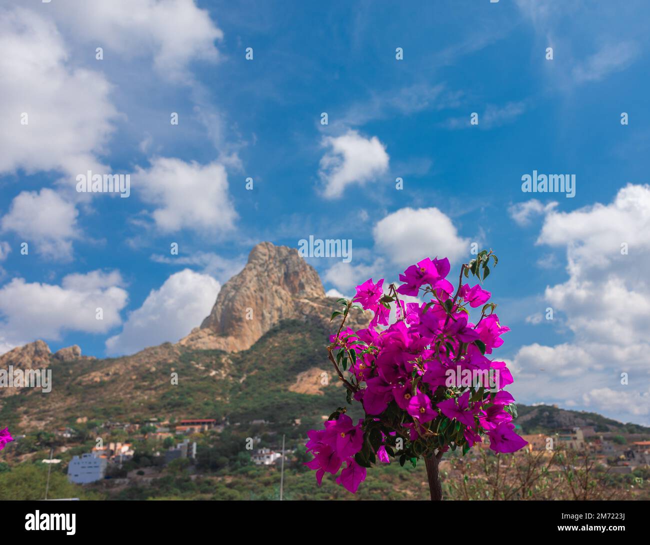 Vue panoramique sur le rocher bernal avec une fleur pendant une journée de ciel bleu avec des nuages Banque D'Images