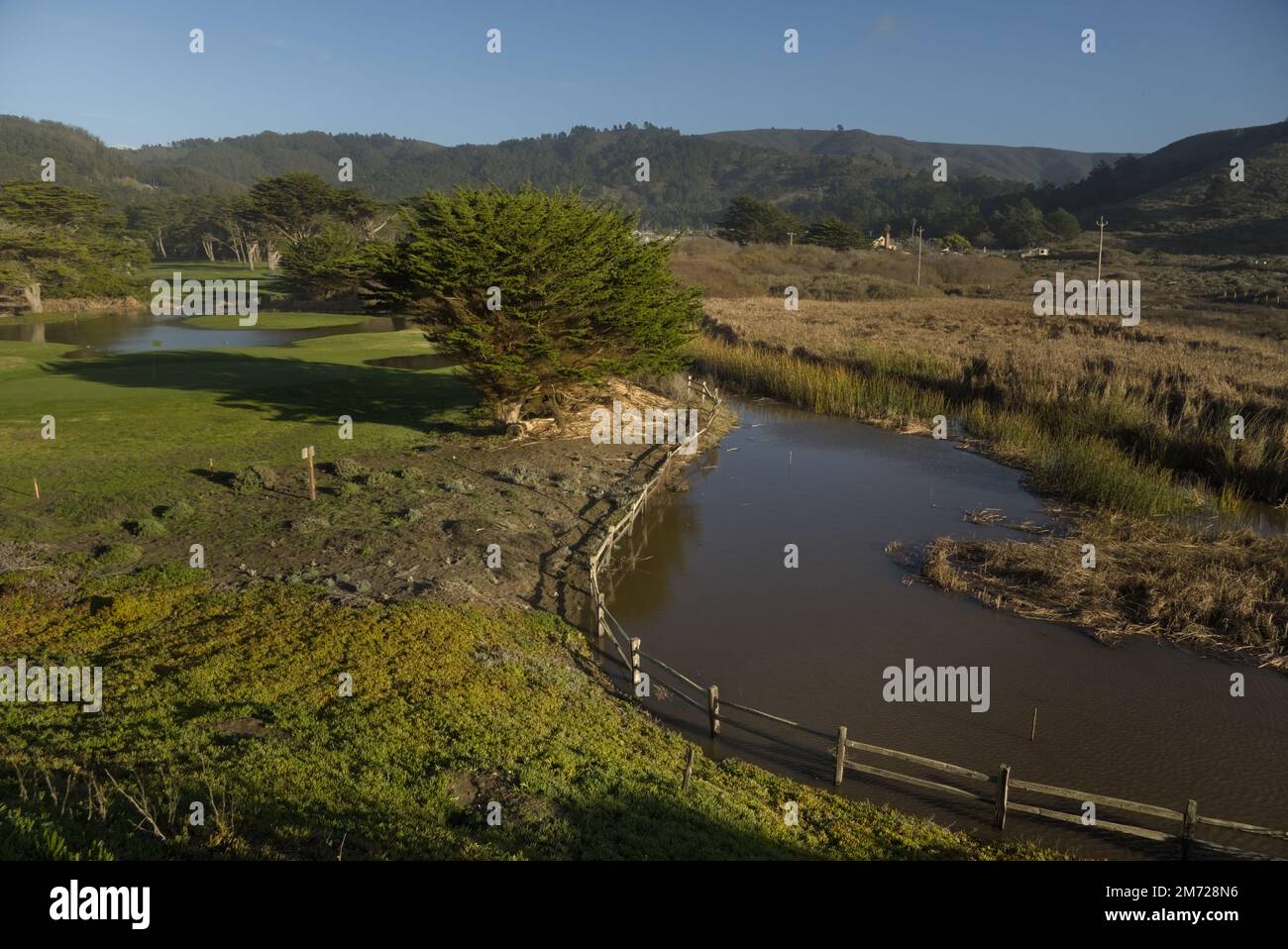 Parcours de golf en herbe verte avec cyprès et étangs. Banque D'Images