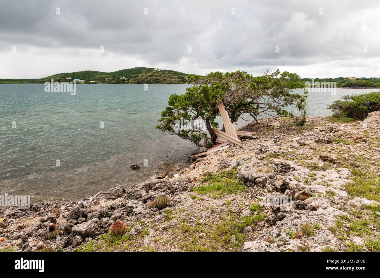 Vue panoramique sur la plage de St. Joris Bay sur l'île des caraïbes Curaçao. Sous l'arbre au rivage se trouve la pollution de vieilles feuilles ondulées. Banque D'Images