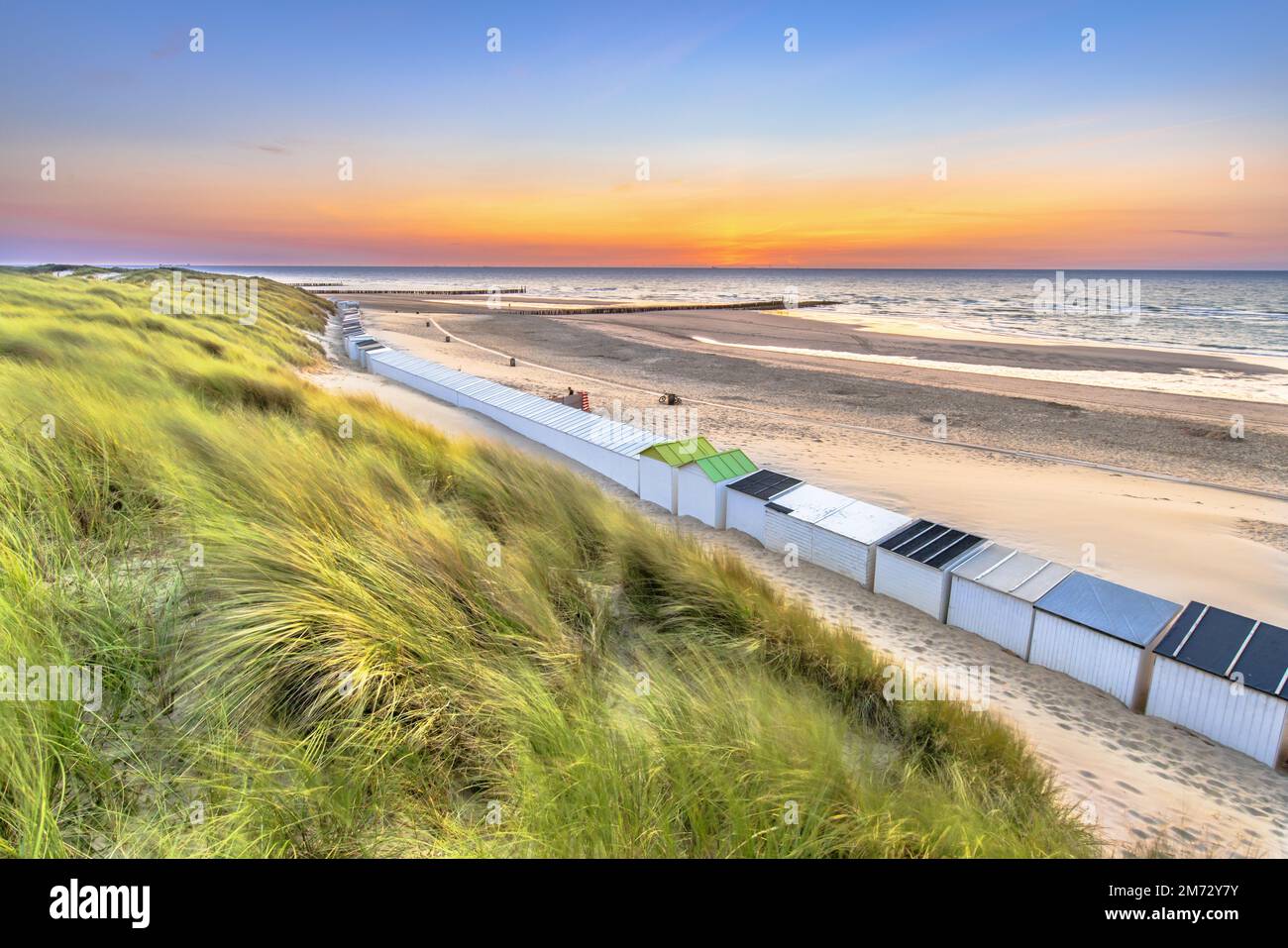 Maisons de plage sur la plage de Westkapelle vue depuis les dunes de Zeeland au coucher du soleil, pays-Bas. Paysage scène de la nature en Europe. Banque D'Images Maisons de plage sur la plage de Westkapelle vue depuis les dunes de Zeeland au coucher du soleil, pays-Bas. Paysage scène de la nature en Europe. Banque D'Images