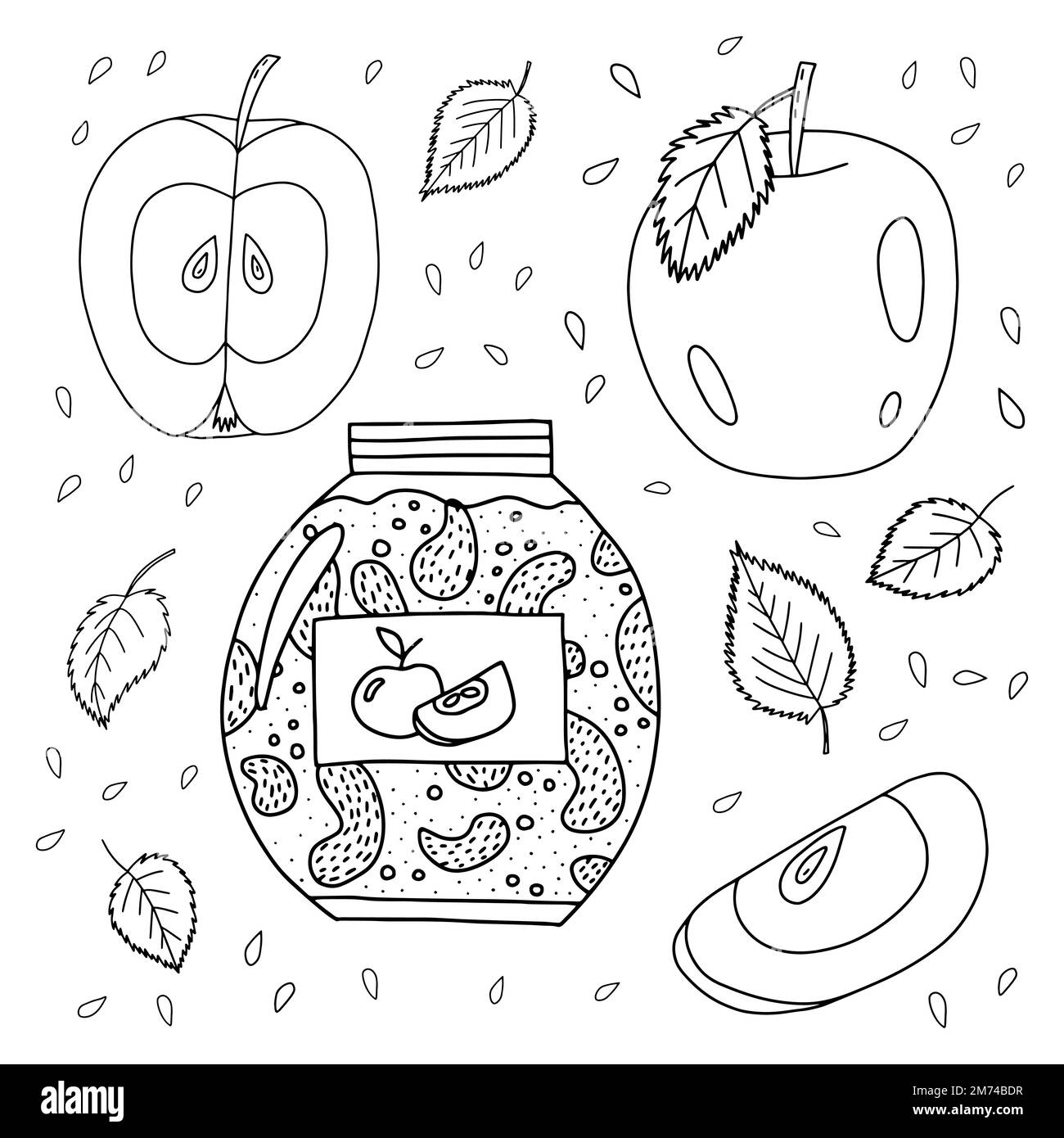 Ensemble de pommes vectorielles dessinées à la main Illustration de Vecteur