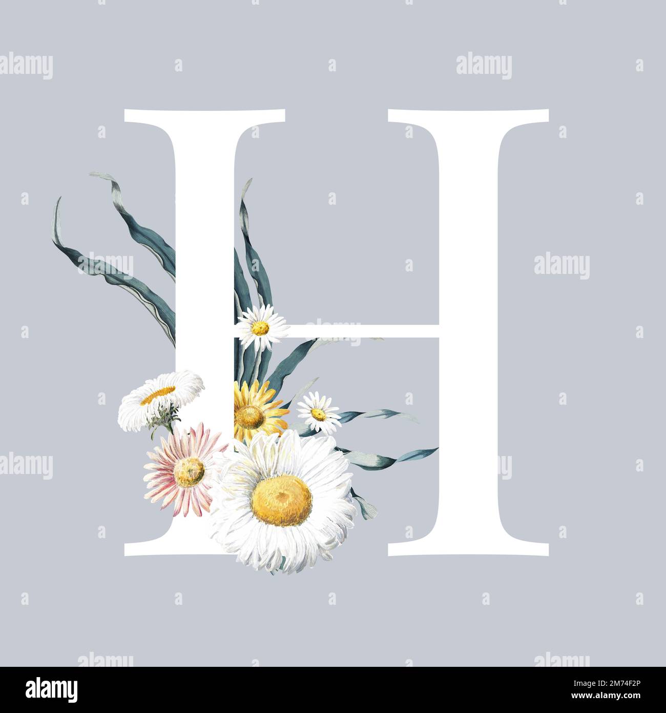 Lettre H blanche décorée de mums fleurs vectorisées à la main Illustration de Vecteur