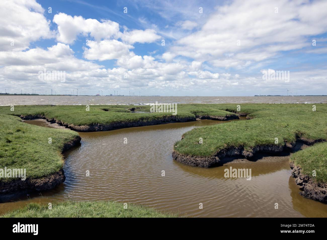 Marais salé avec des canaux dans la province néerlandaise de Groningen près de Punt van Reide et beau ciel nuageux Banque D'Images
