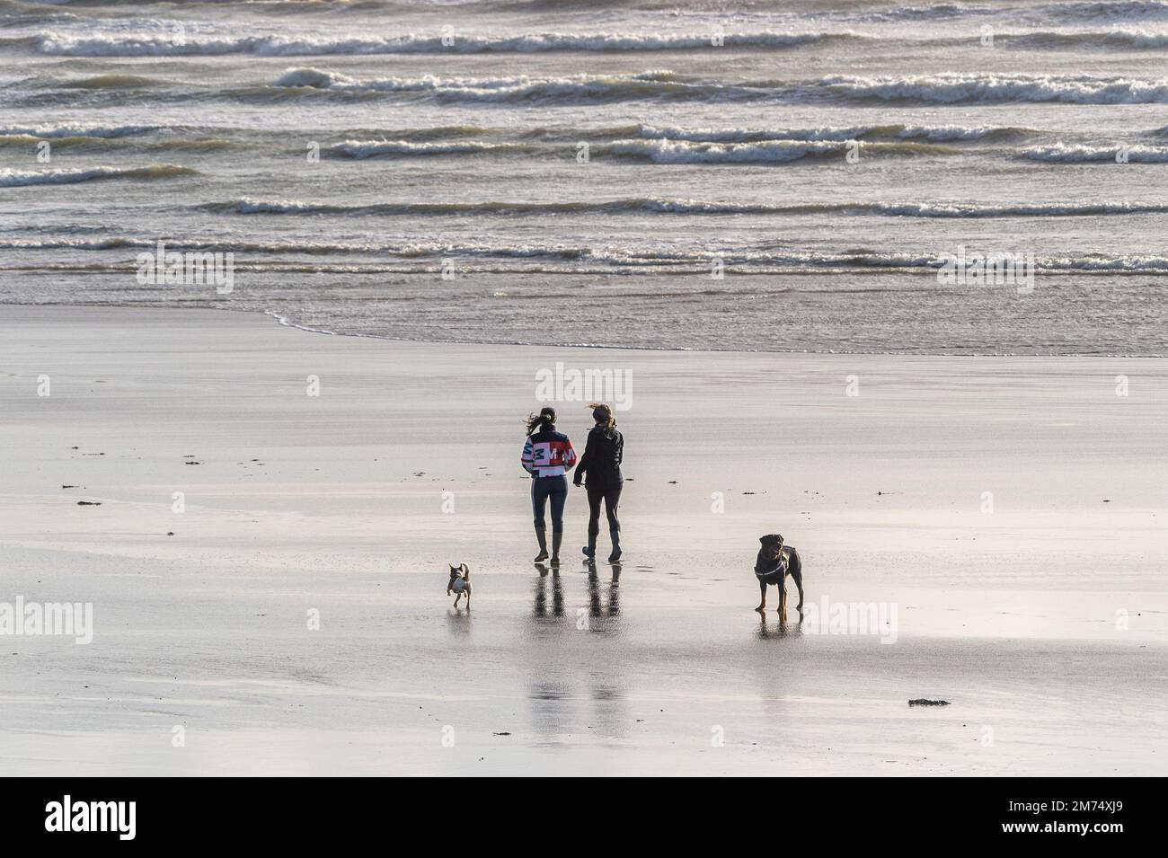 Harbour View Beach, West Cork, Irlande. 7th janvier 2023. Malgré les vents violents de Harbour View Beach à West Cork aujourd'hui, les gens ont profité de l'occasion pour marcher leurs chiens alors que met Éireann a émis un avertissement météo jaune pour cinq comtés. L'avertissement de vent jaune concerne les comtés Kerry, Clare, Galway, Mayo et Donegal et est valable jusqu'au 08,00 demain matin (Sun 8th). Crédit : AG News/Alay Live News Banque D'Images