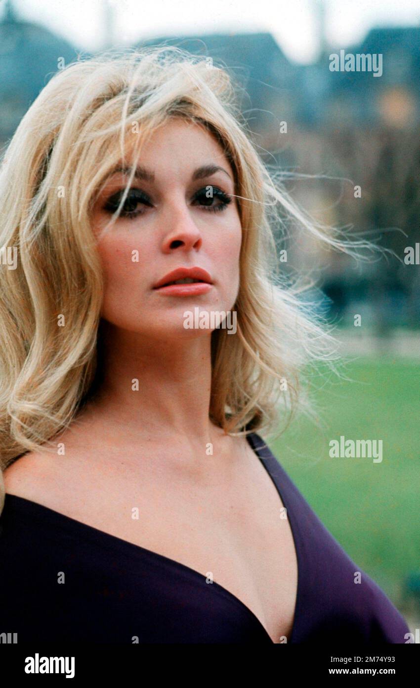 SHARON TATE À L'ŒIL DU DIABLE (1966), DIRIGÉ PAR J. LEE THOMPSON. Crédit: M.G.M. / Album Banque D'Images