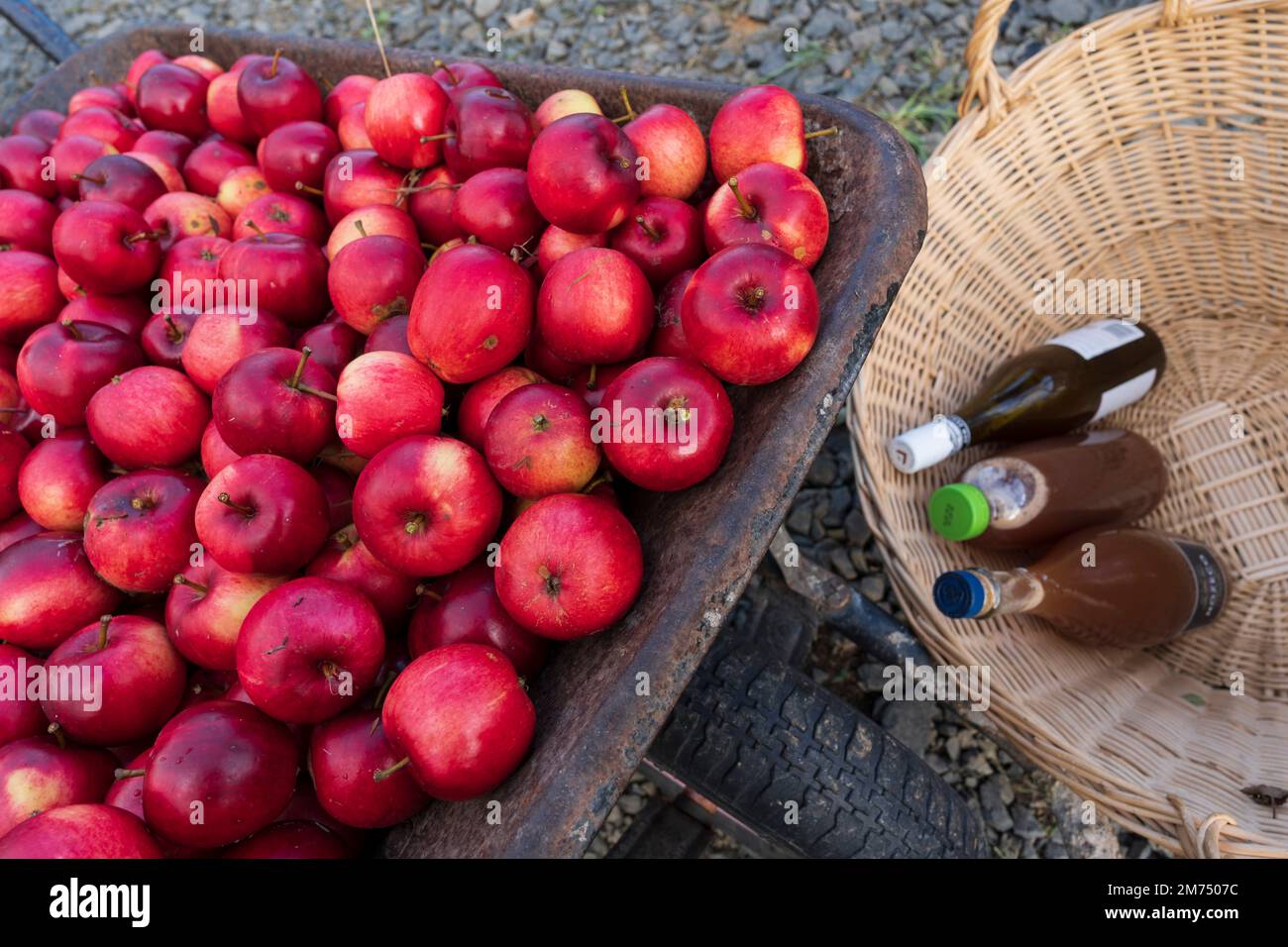 Jus de pomme dans le verger communautaire de Drygrange, près de Melrose aux frontières écossaises. 24 septembre. Banque D'Images