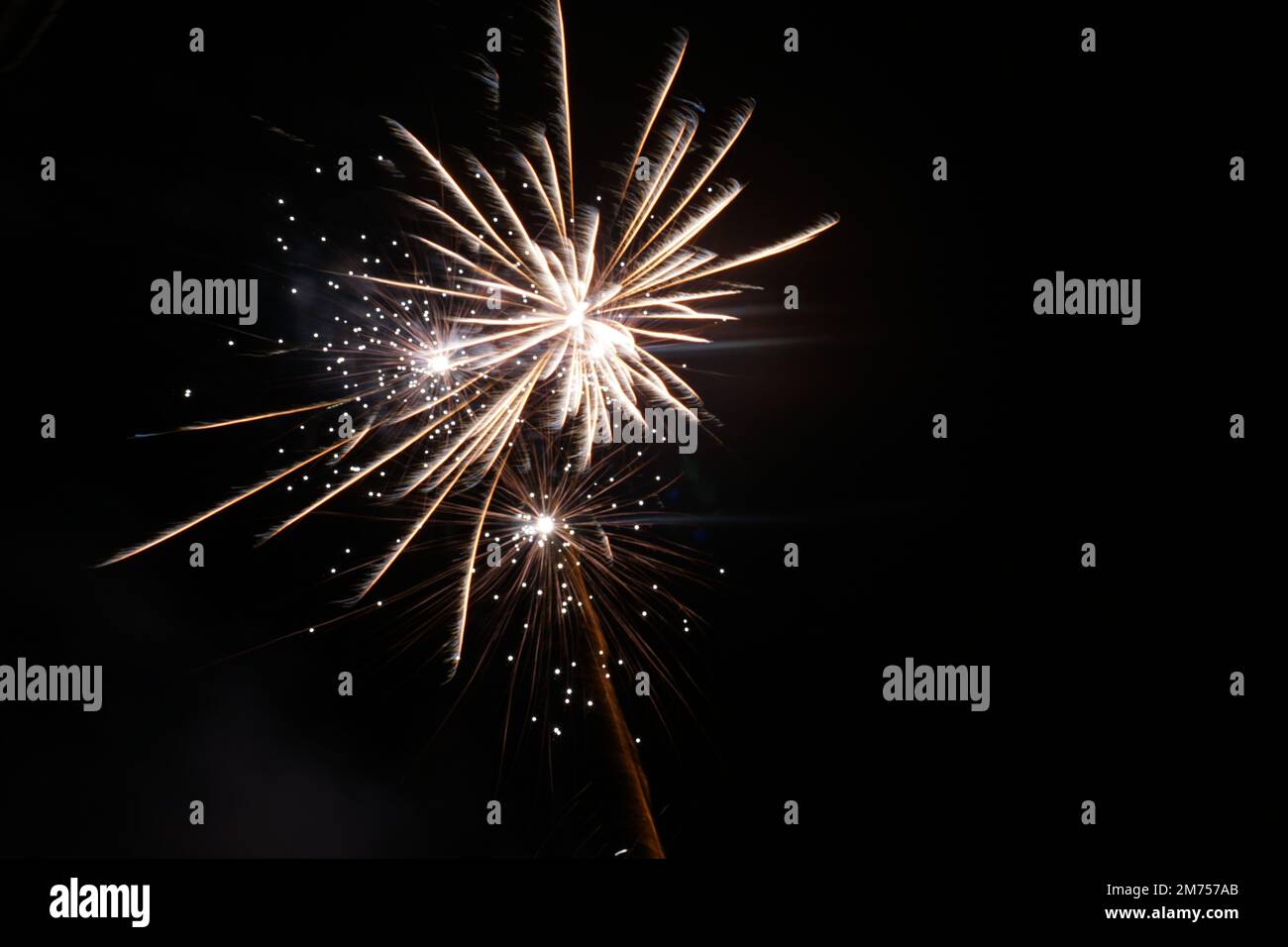 Feu d'artifice doré la nuit. Briller et aller de tous les côtés. Banque D'Images