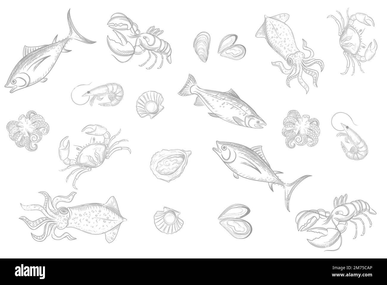 Illustration de la collection de fruits de mer avec différents types de délicatesse vecteur illustration style monochrome contour sur fond blanc Illustration de Vecteur