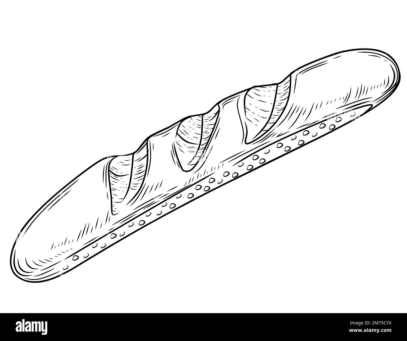 Illustration vectorielle de style baguette fraîche et savoureuse à la main isolée sur fond blanc Illustration de Vecteur