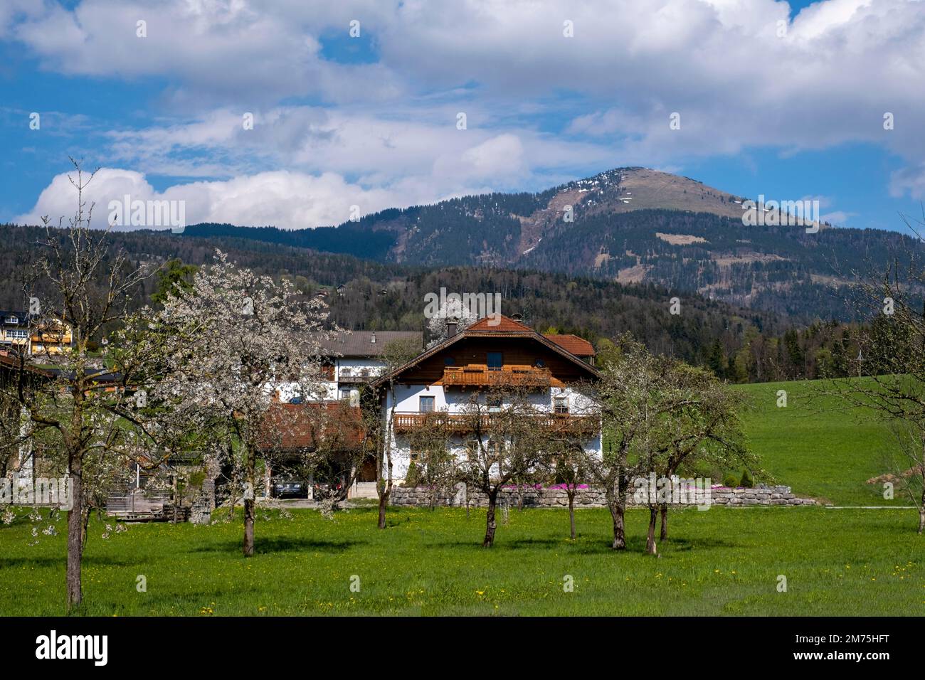 Fermes, derrière les Schlenken, Bad Vigaun, Tennengau, Land Salzbourg, Autriche Banque D'Images