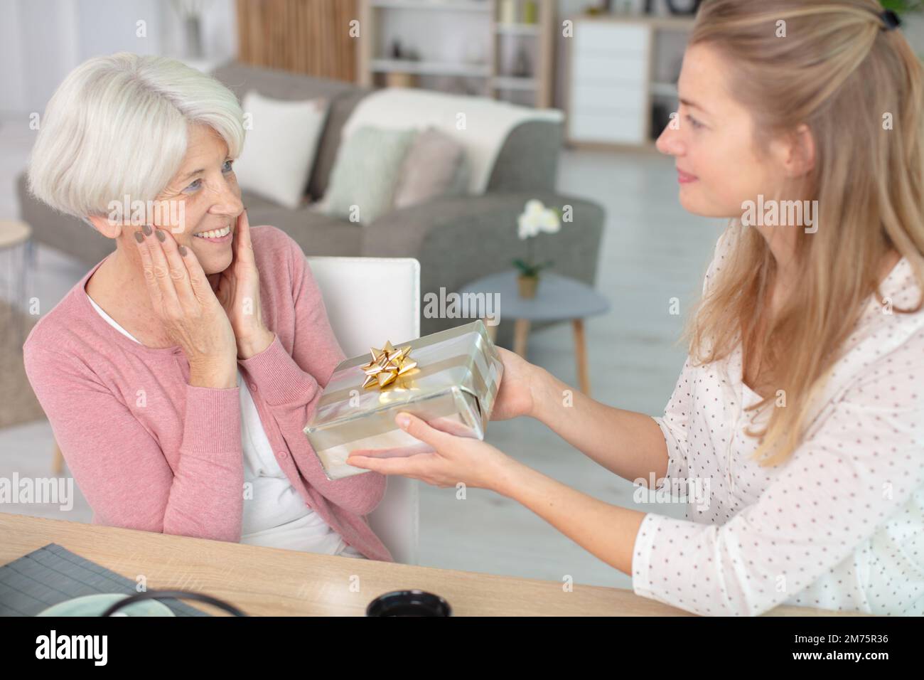 jeune femme offrant un cadeau à sa grand-mère ravie Banque D'Images