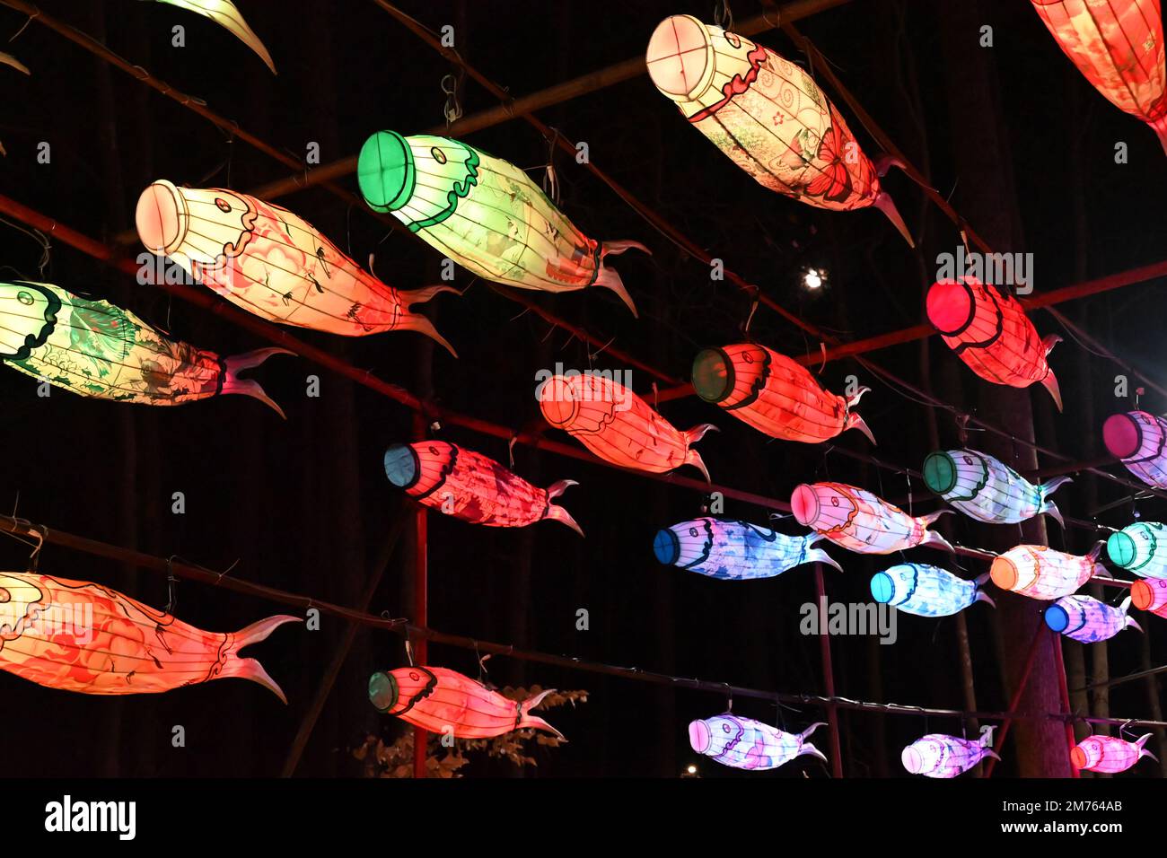 Lanternes de poissons brillantes au festival chinois des lanternes à Cary, en Caroline du Nord. Banque D'Images Lanternes de poissons brillantes au festival chinois des lanternes à Cary, en Caroline du Nord. Banque D'Images