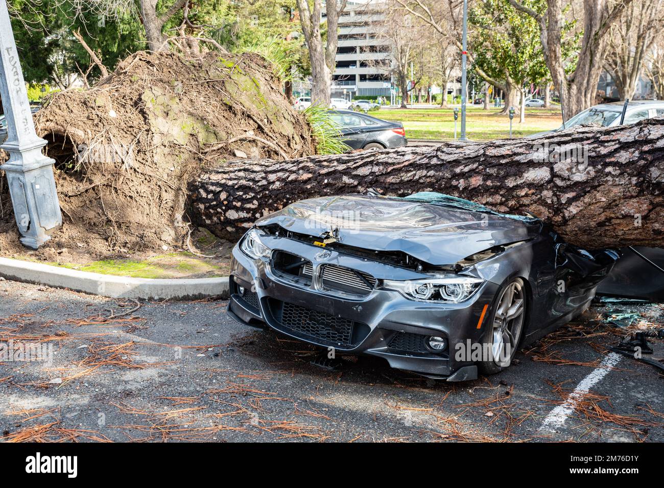 Photo de l'avant d'une BMW qui a été écrasée par un pin à Sacramento en raison de l'un des tempêtes extrêmes dans le nord de la Californie. Banque D'Images