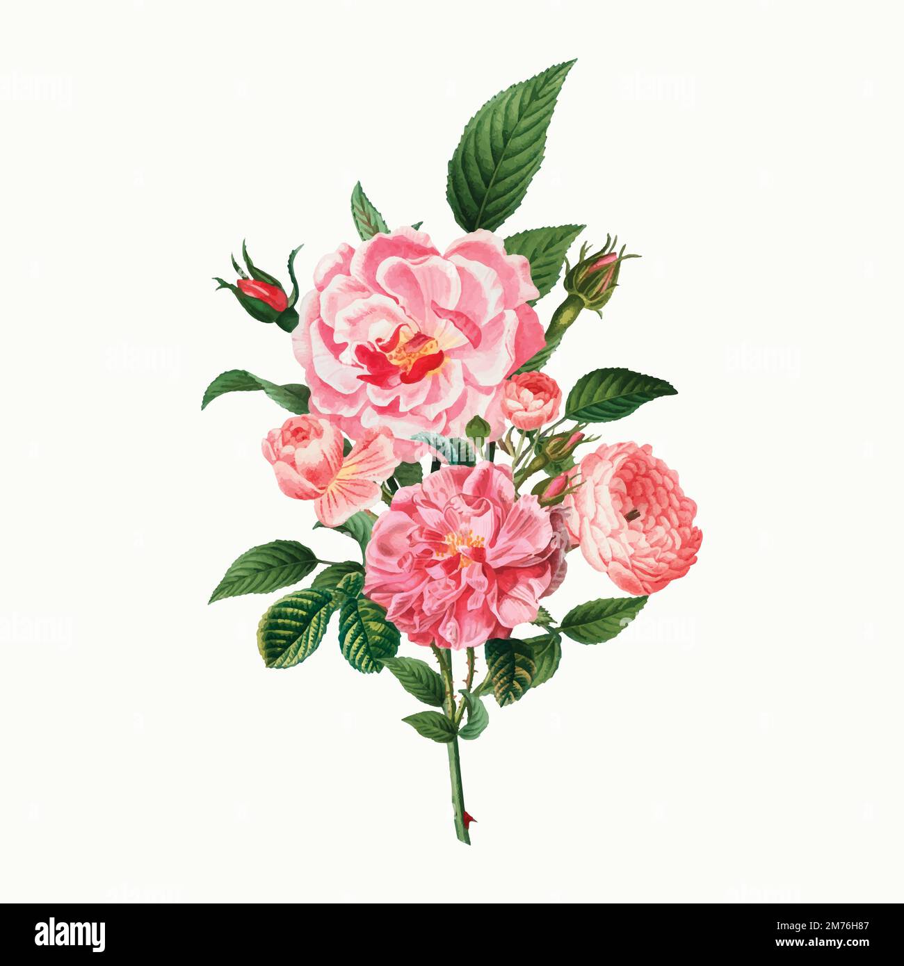 Rose vintage bouquet de roses vecteur Illustration de Vecteur