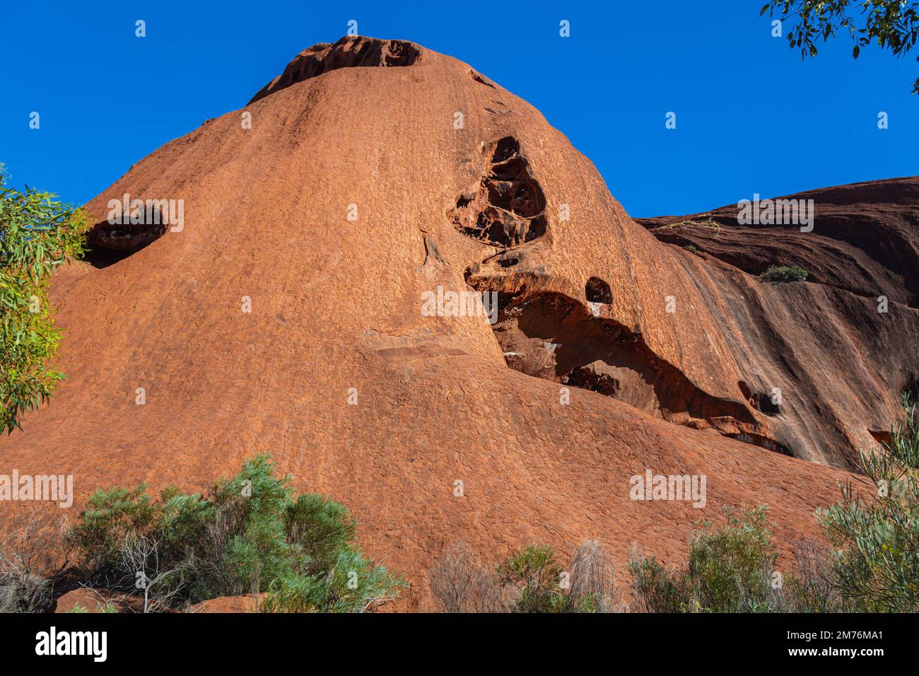 Outback, Australie - 12 novembre 2022 : vue rapprochée sur le rocher de grès rouge dans le centre de l'Australie. Uluru ou Ayers Rock dans le Terri du Nord Banque D'Images