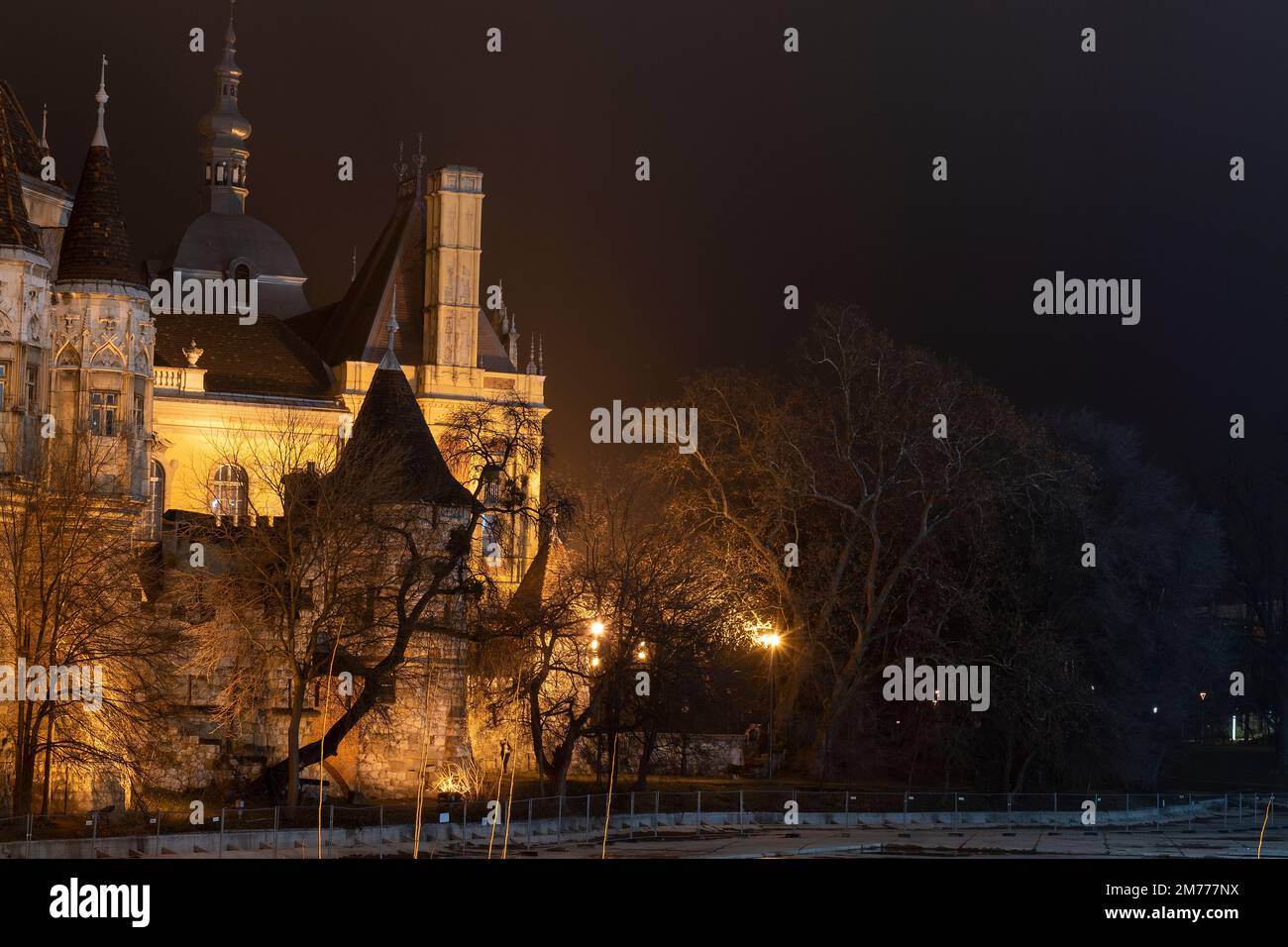 Château Vajdahunyad Banque D'Images