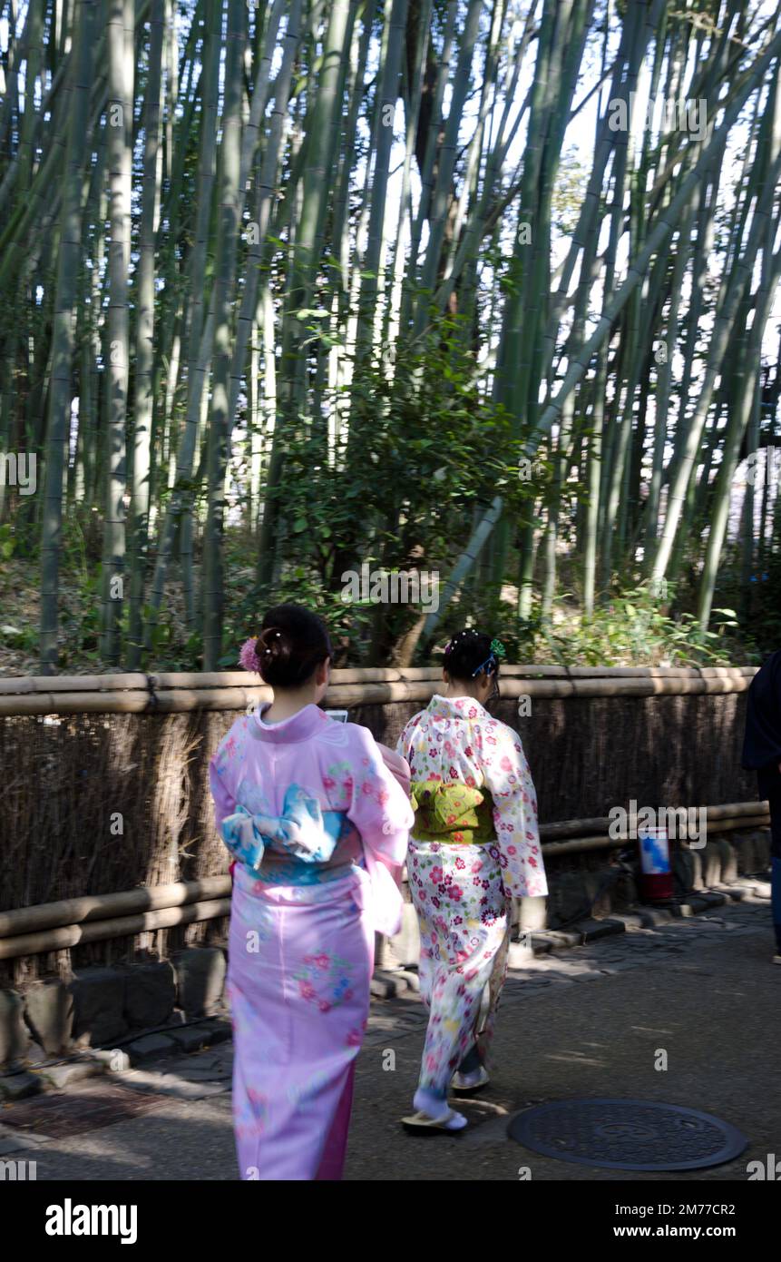 Femmes marchant avec la robe traditionnelle japonaise. Flou de l'image pour suggérer le mouvement. Forêt de bambou d'Arashiyama. Kyoto. Japon. Banque D'Images