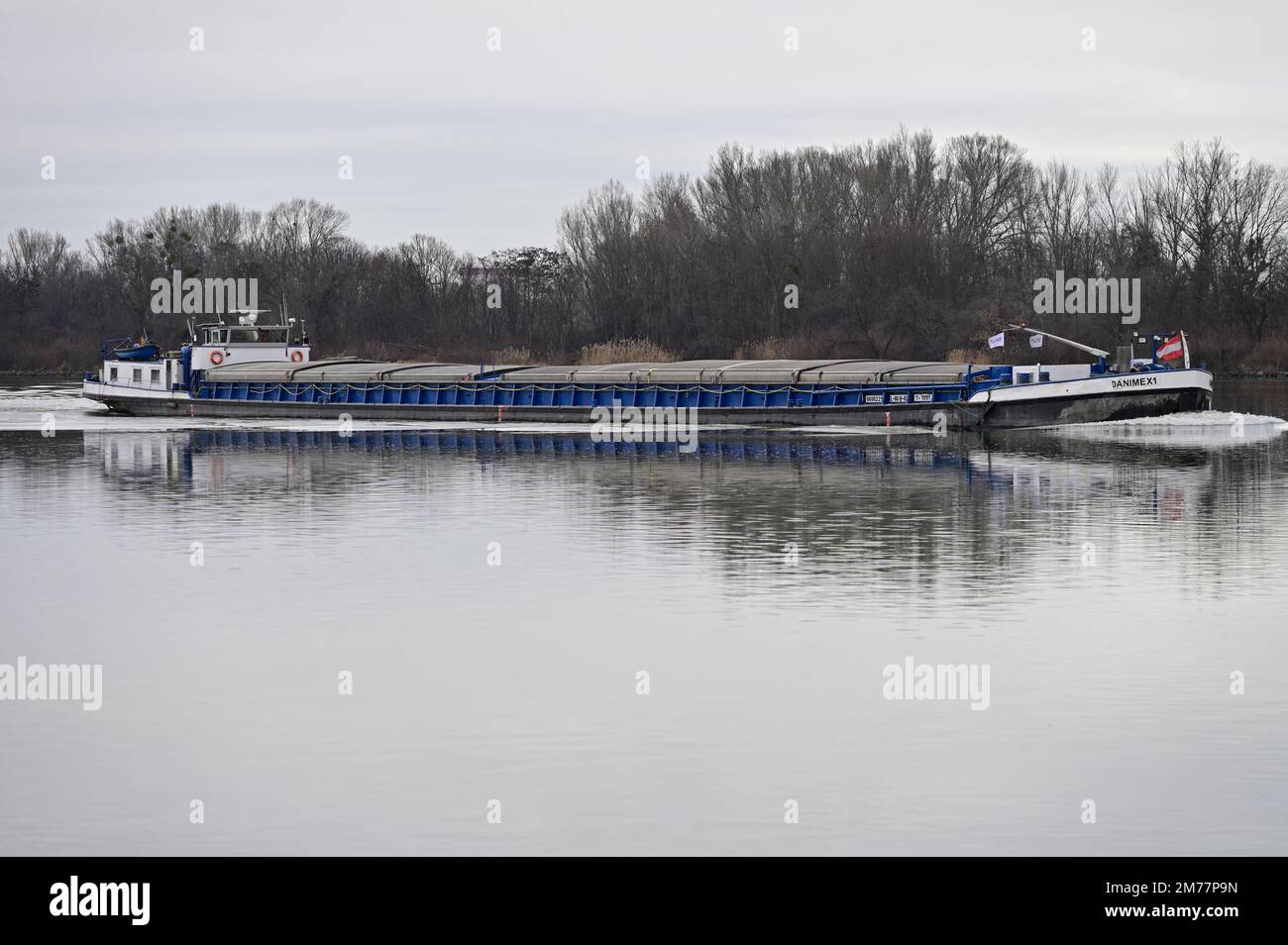 Vienne, Autriche. Cargo Danimex X1 sur le Danube en hiver Banque D'Images
