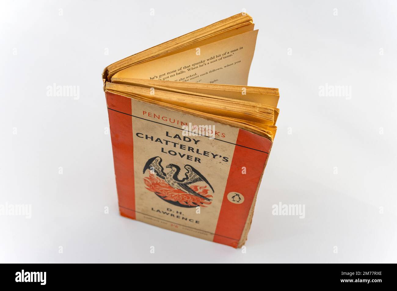 Lover de Lady Chatterley Banque D'Images