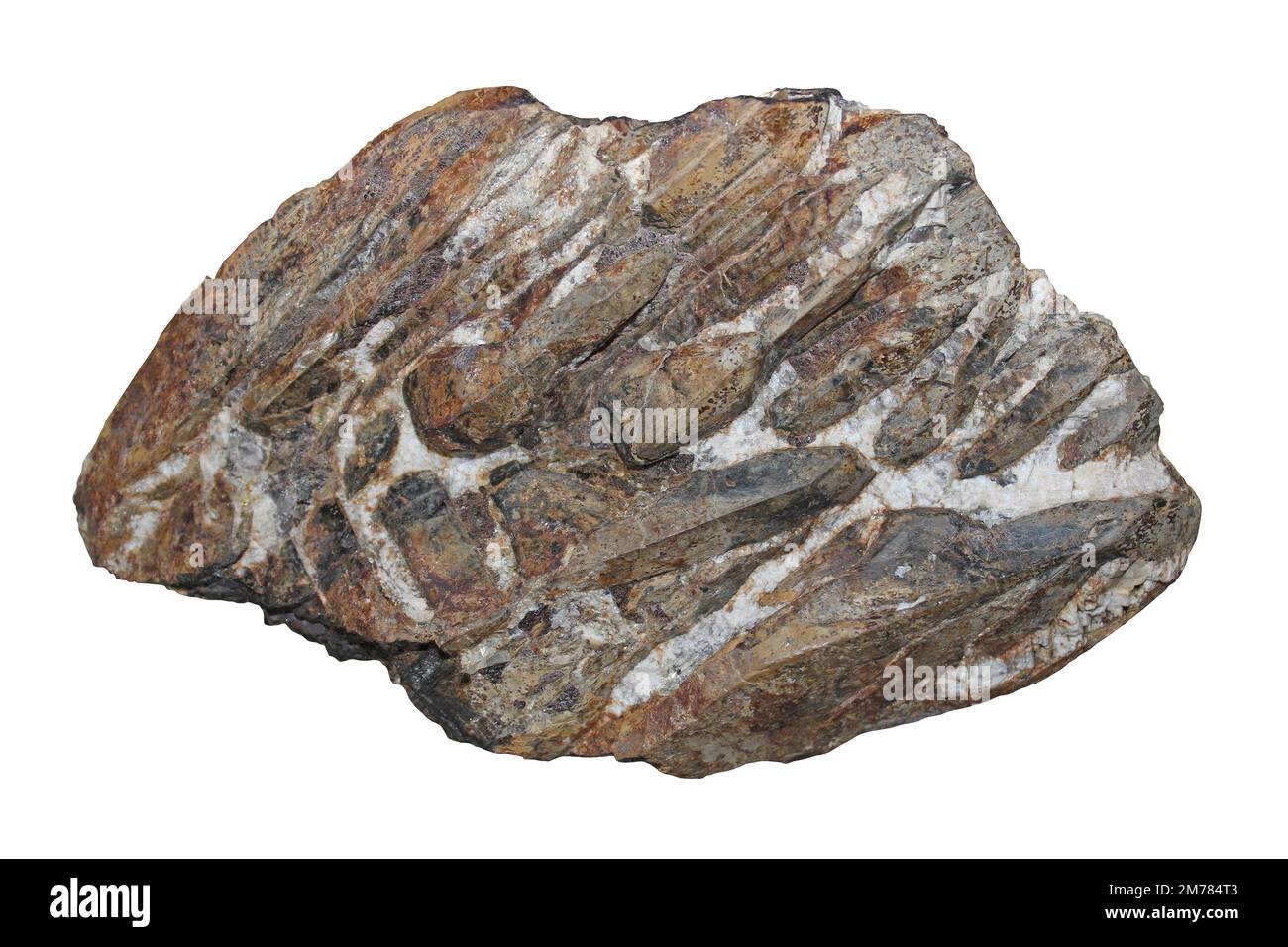 Gadolinite a.k.a. Ytterbite Banque D'Images