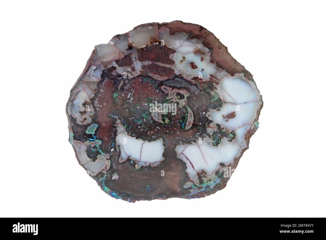 Bois Opal Banque D'Images