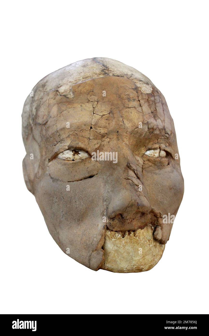 Crâne humain plâtré - Jéricho, Néolithique, entre 8 000 et 6 000 av. J.-C. Banque D'Images