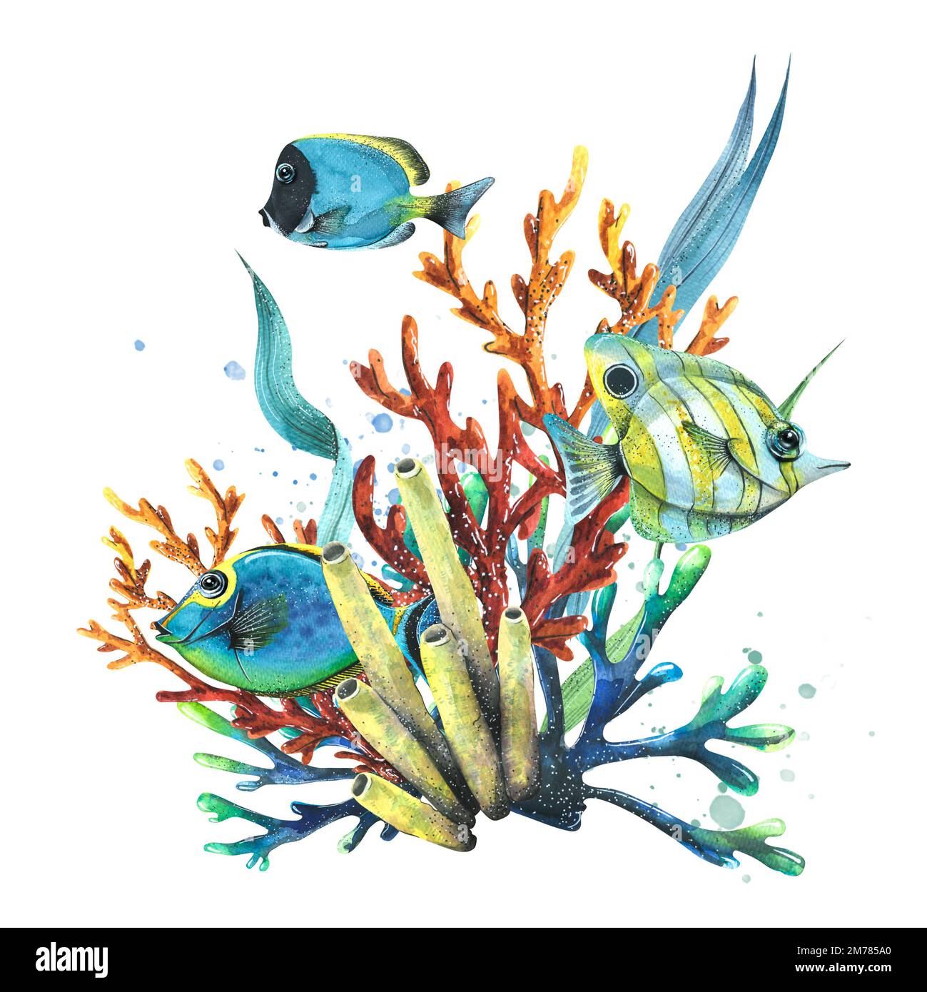 Éponges de mer, coraux, algues et poissons tropicaux, brillants. Illustration aquarelle. Composition de la collection de POISSONS TROPICAUX. Pour la décoration et Banque D'Images
