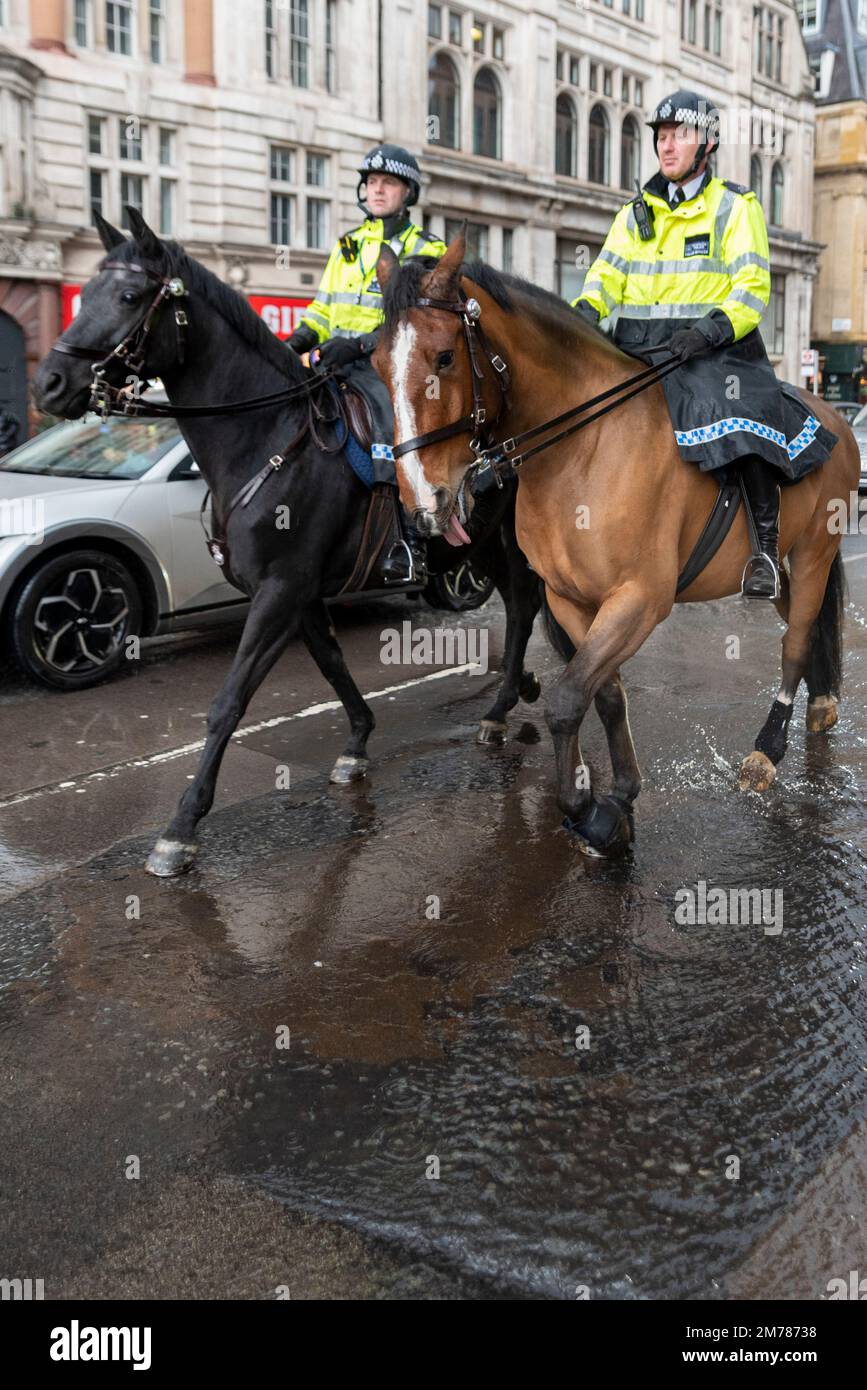 Whitehall, Westminster, Londres, Royaume-Uni. 8th janvier 2023. De fortes pluies ont frappé les zones touristiques de Westminster avec quelques personnes dans les rues. La police métropolitaine patrouillent à cheval dans un Whitehall inondé malgré le temps. Banque D'Images