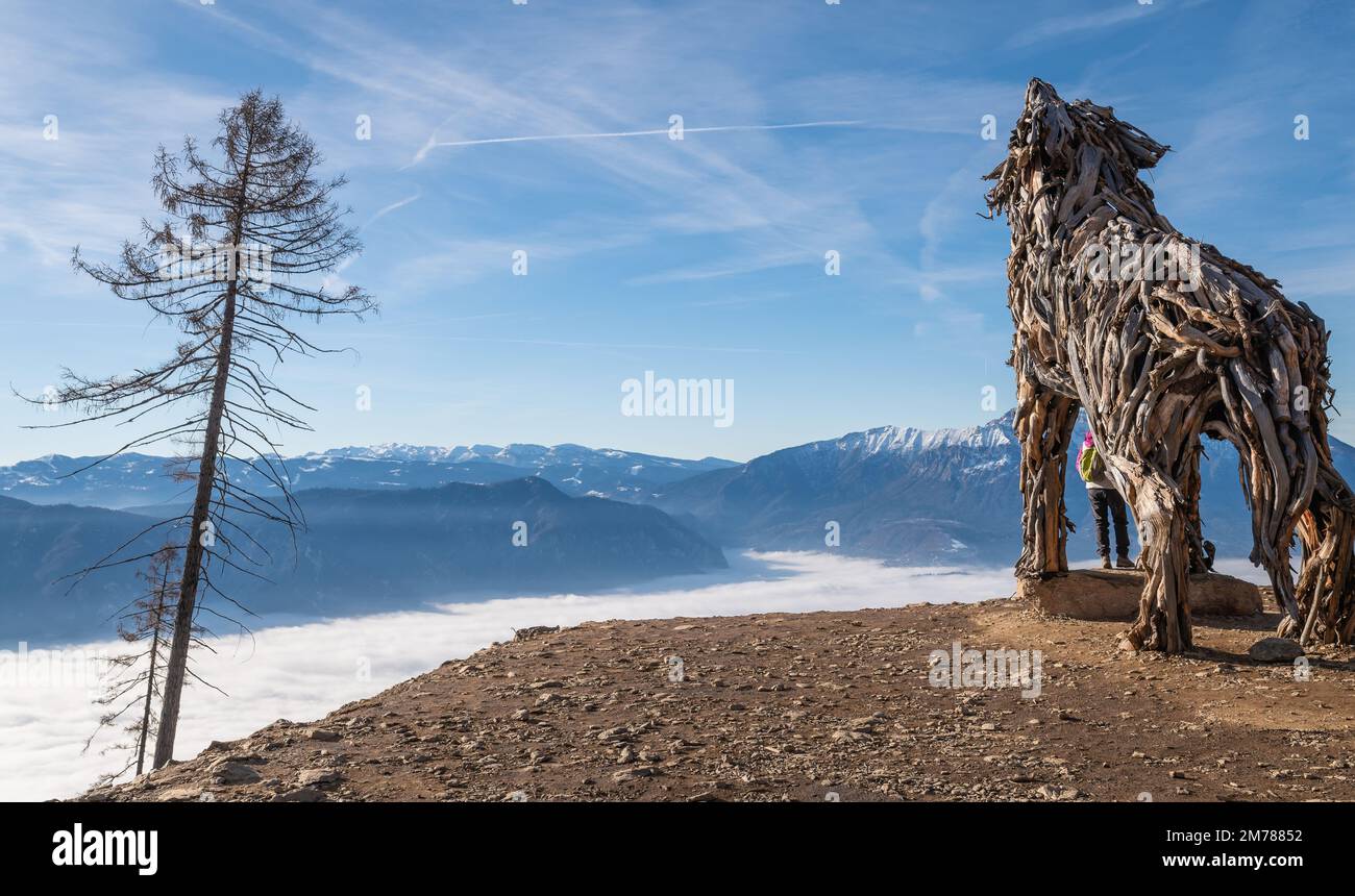 Lupa Vaia (Vaia Wolf). Sculpture en bois avec bois récupéré de la tempête de Vaia (cyclone Adrian), par Marco Martalar Vetriolo, Levico terme, Trento provid Banque D'Images