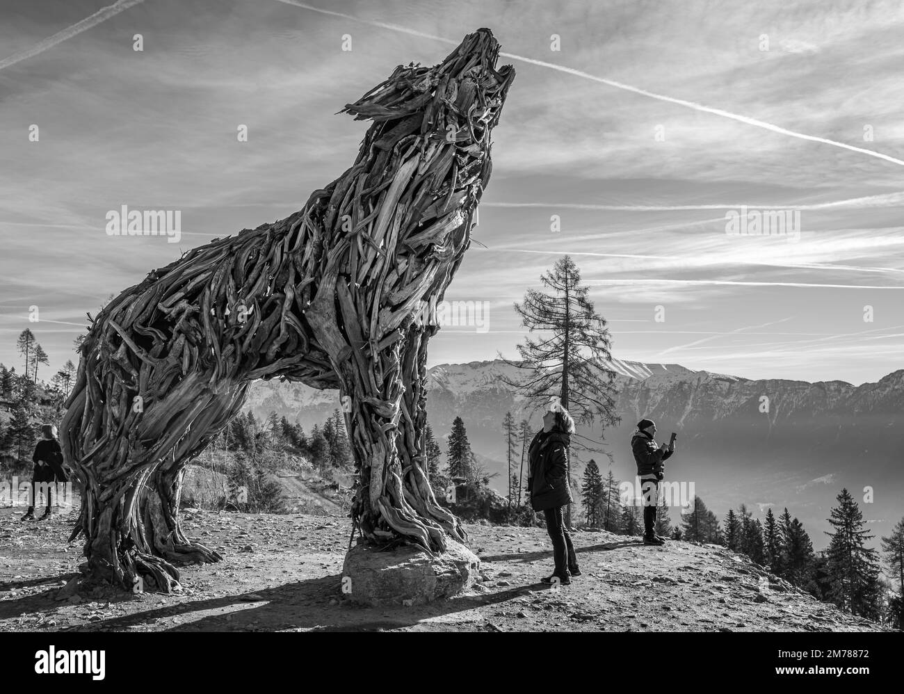 Lupa Vaia (Vaia Wolf). Sculpture en bois avec bois récupéré de la tempête de Vaia (cyclone Adrian), par Marco Martalar Vetriolo, Levico terme, Trento provid Banque D'Images